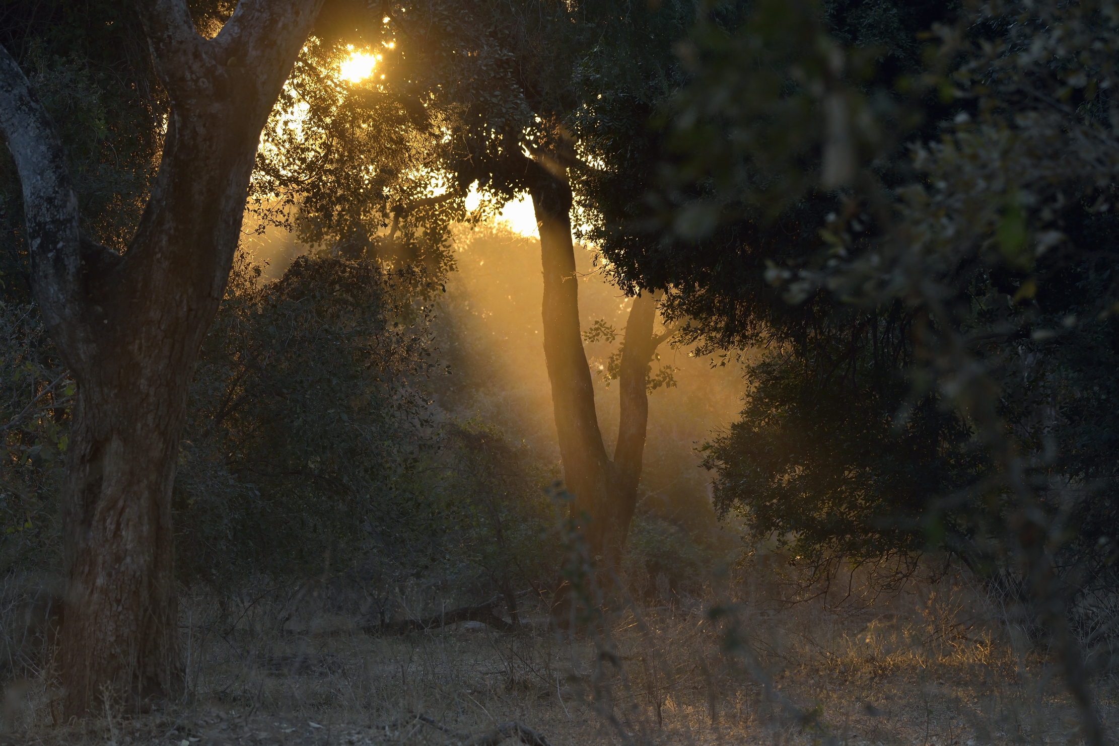 Zimbabwe 2015 - Sunset at Mana Polls...