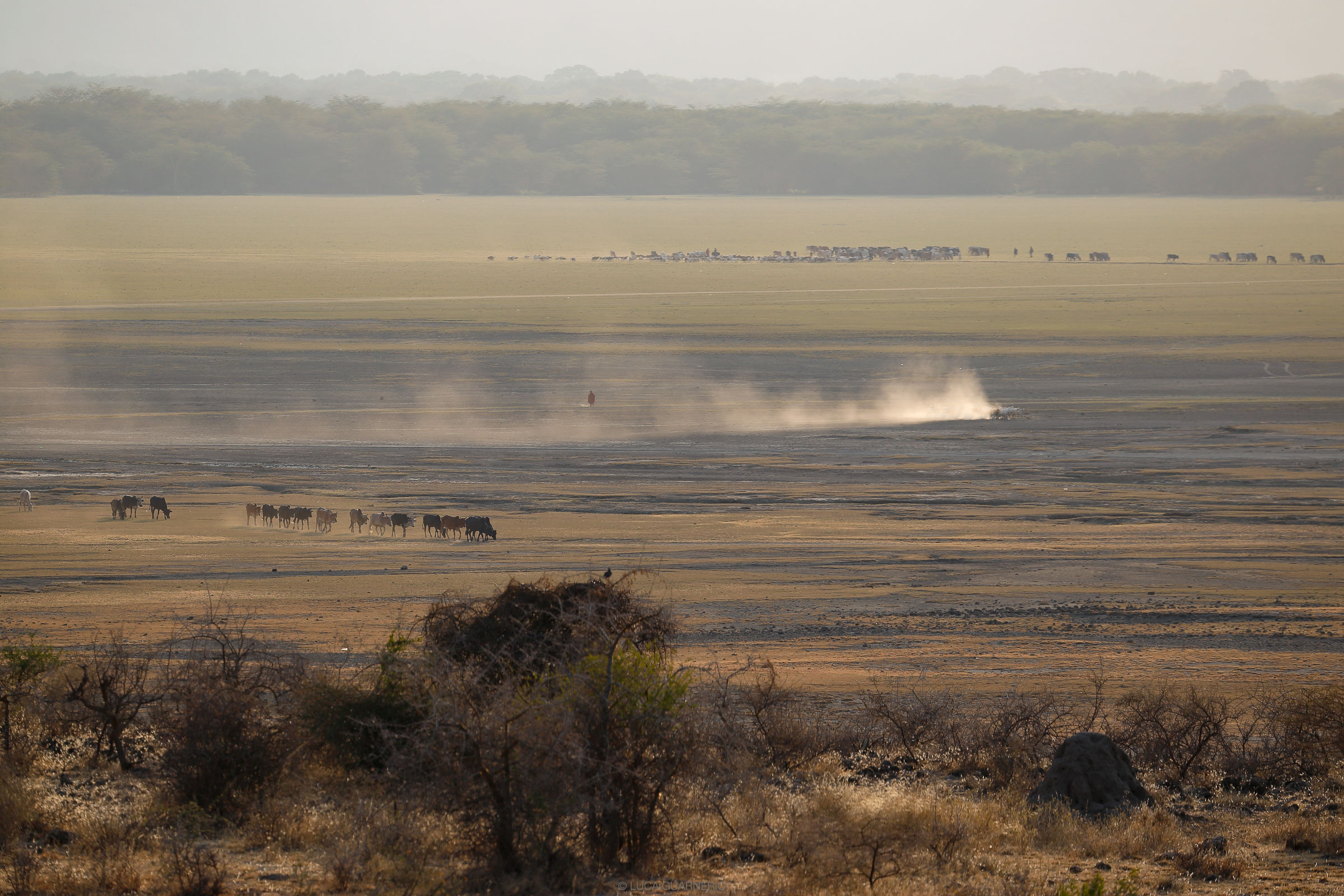 African landscapes...