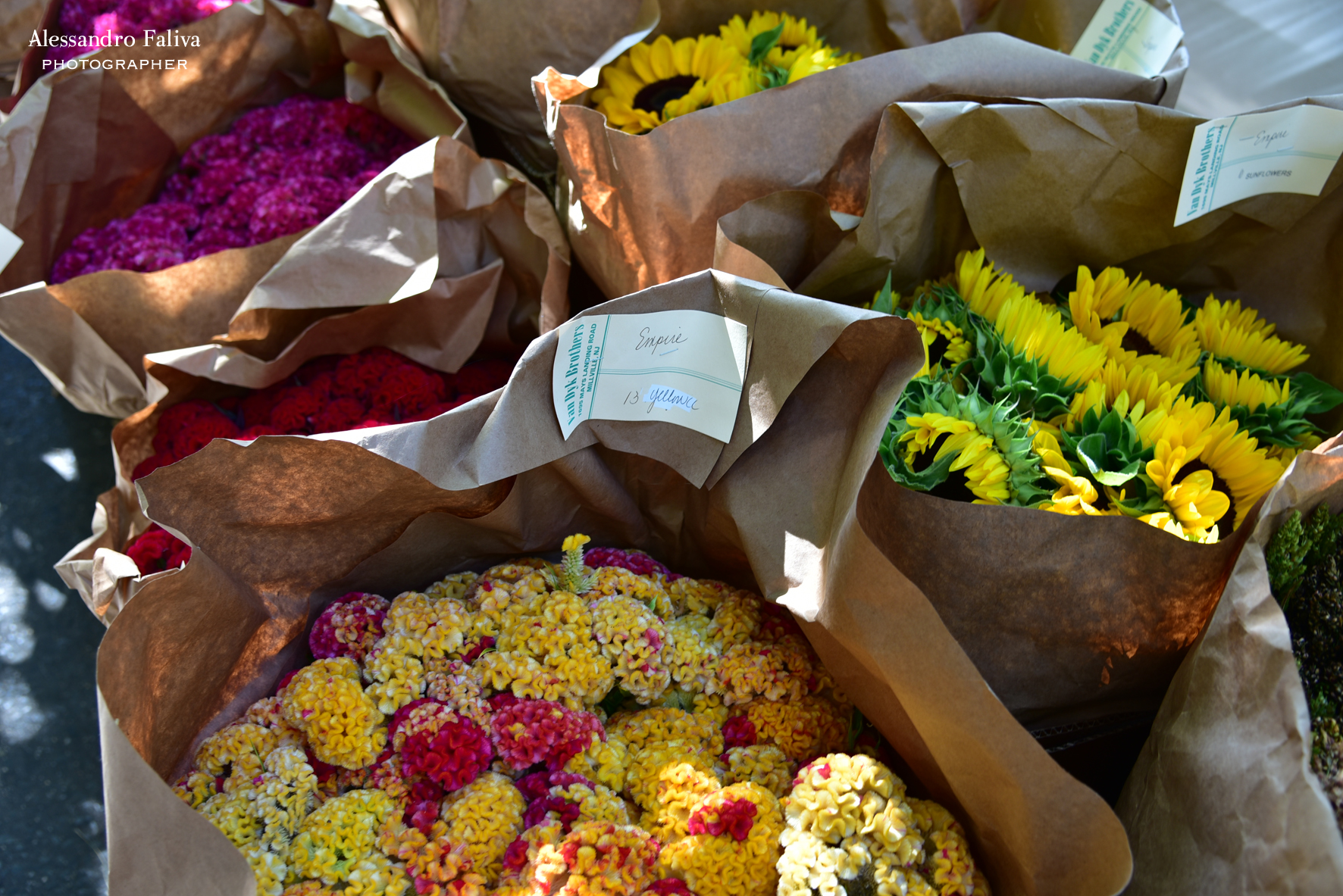 New York, flower market in Chelsea...