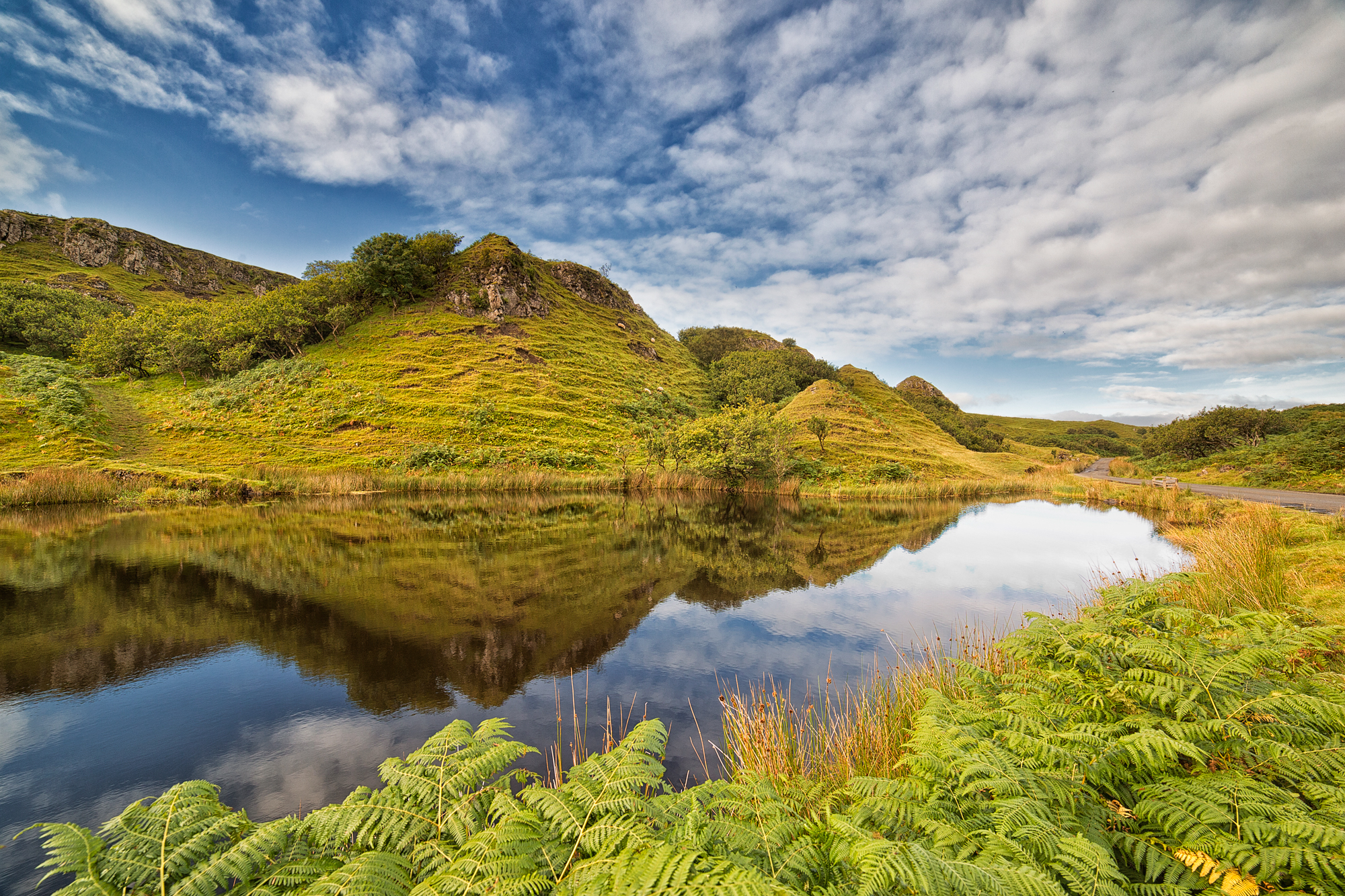 fairy glen...