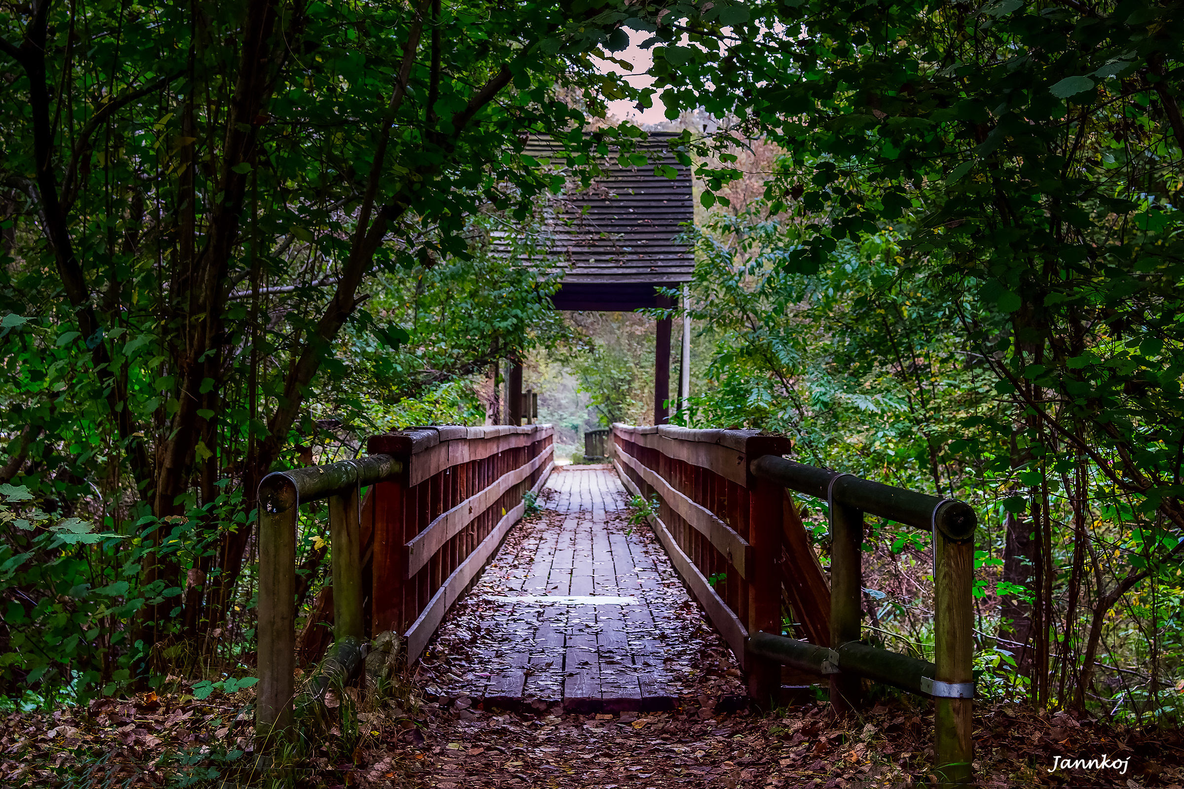 A wooden bridge...
