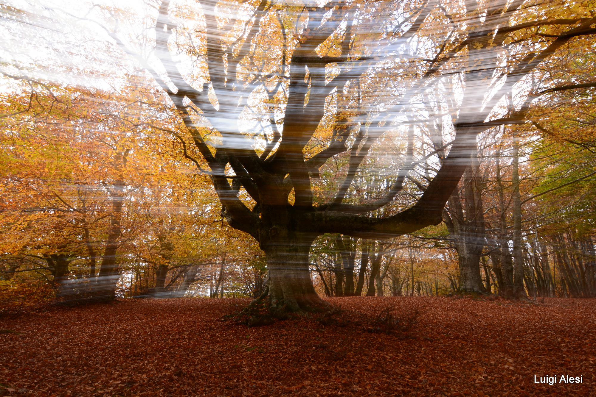 Autumn in Canfaito - special effects - no PP...
