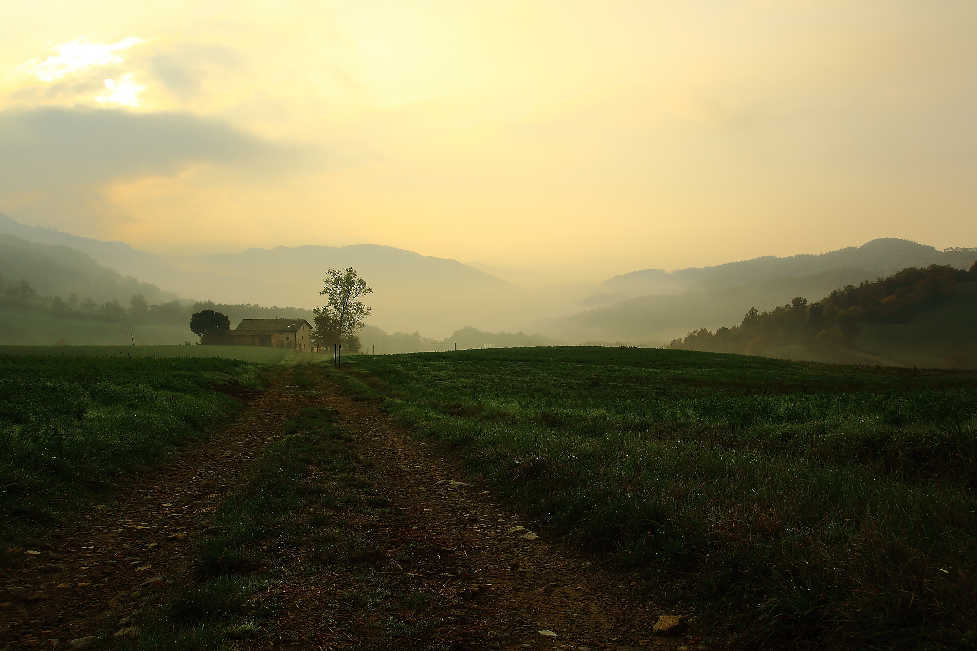 First light...