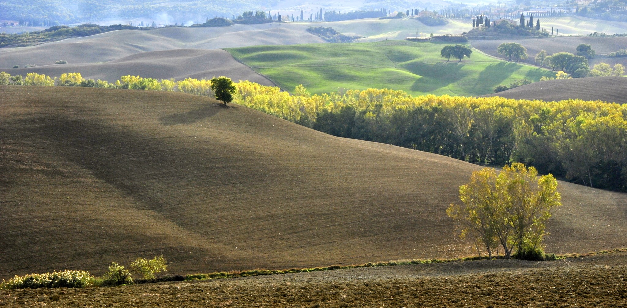 Lights and shadows in the Val D'Orcia ......