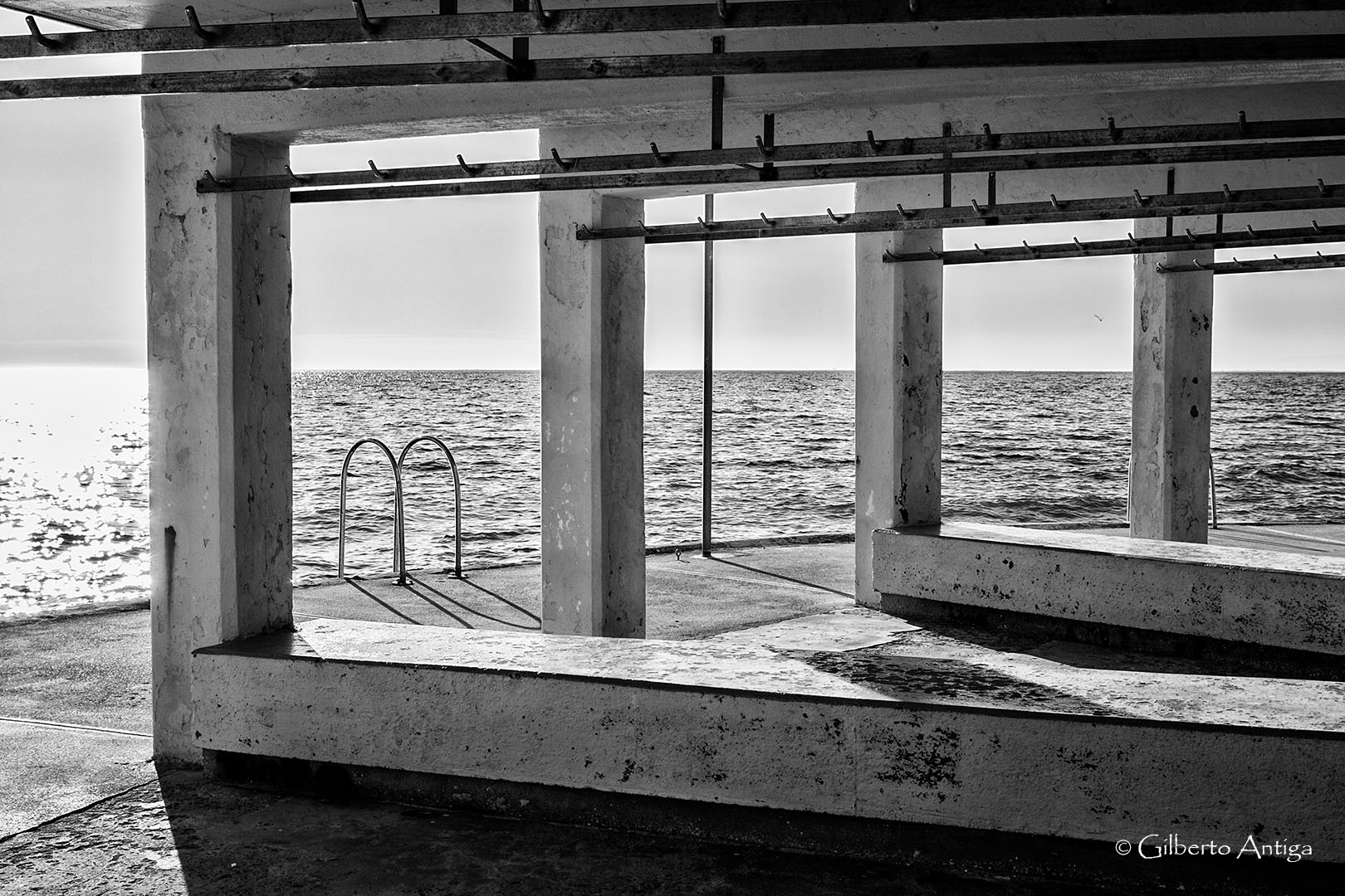 Barcola along for a dive...