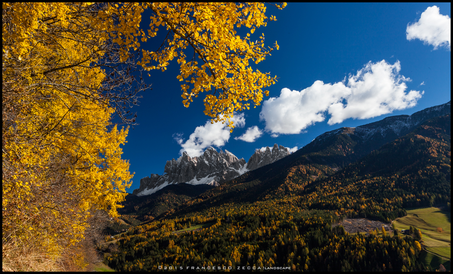The yellow of the Val di Funes...