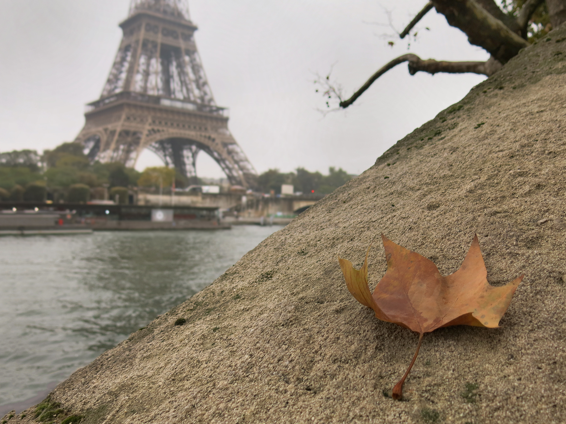Autumn in Paris...
