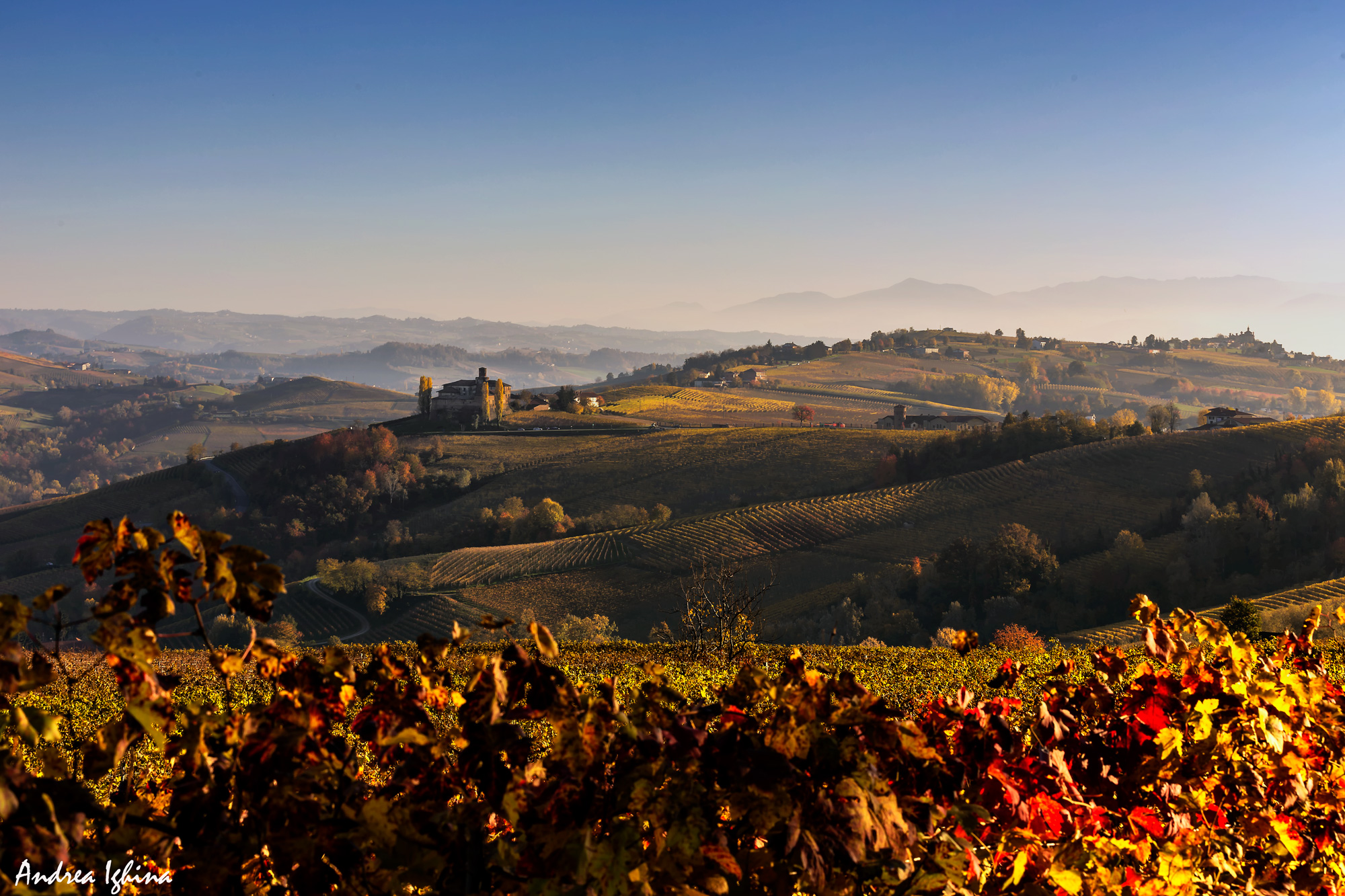 Magnificent autumn in the Langhe....