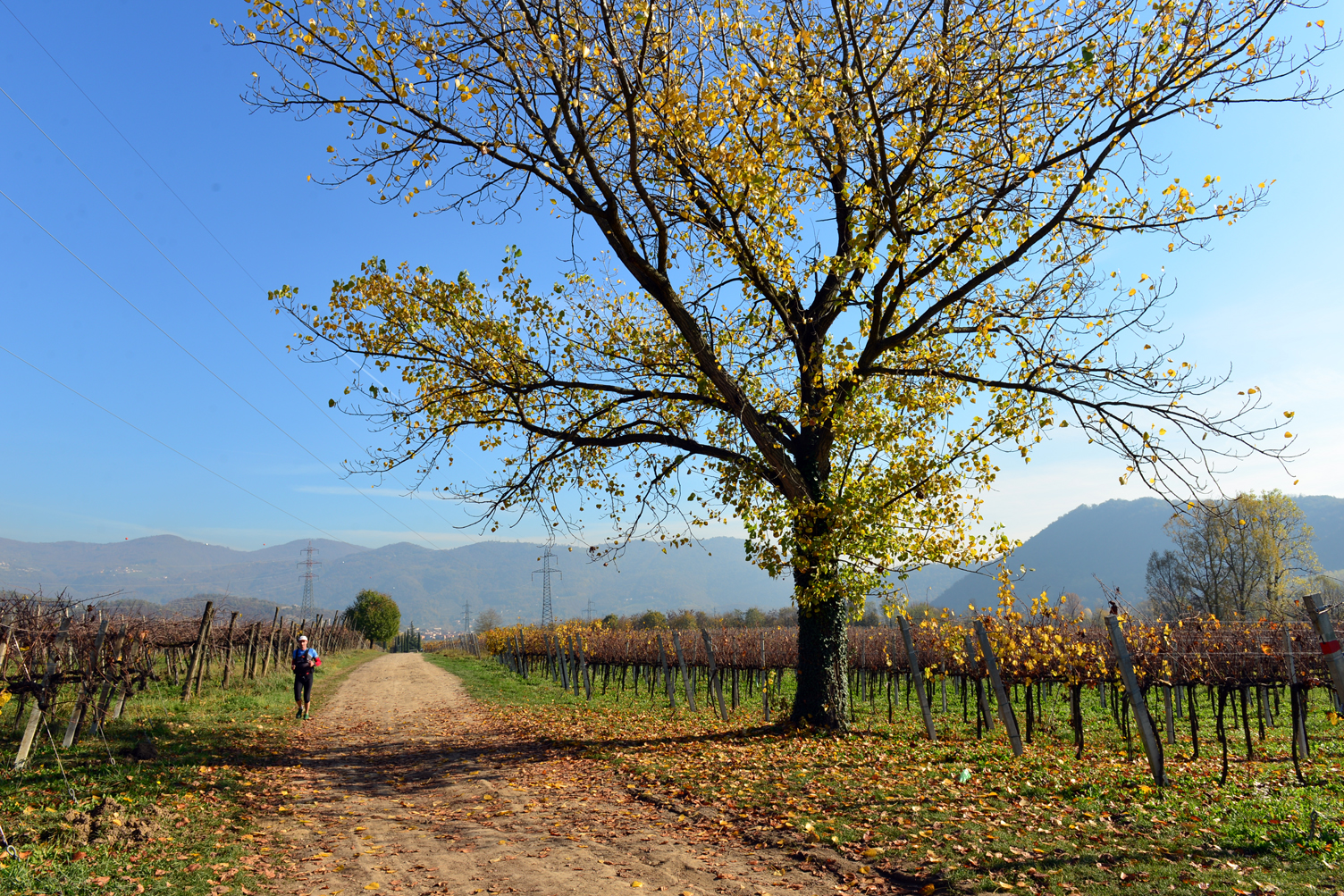 franciacorta 9...