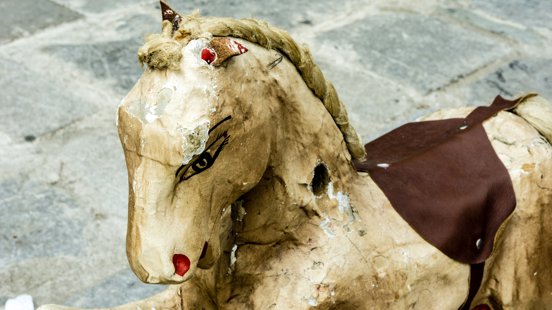 Horse of the past .....