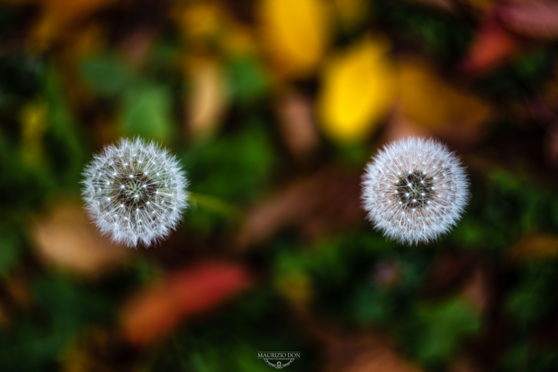 Autumn...