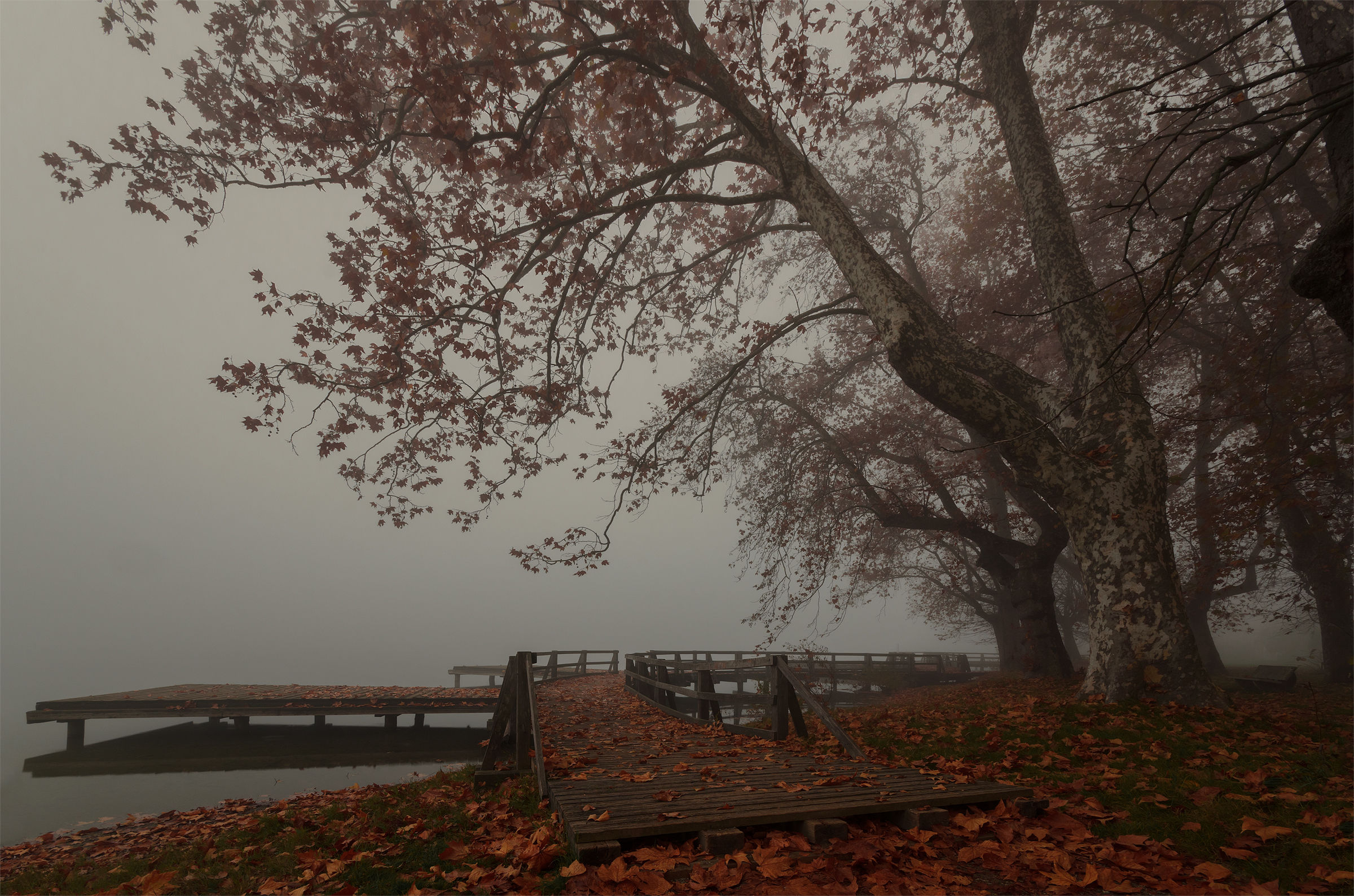 Fog on Lake Varese...