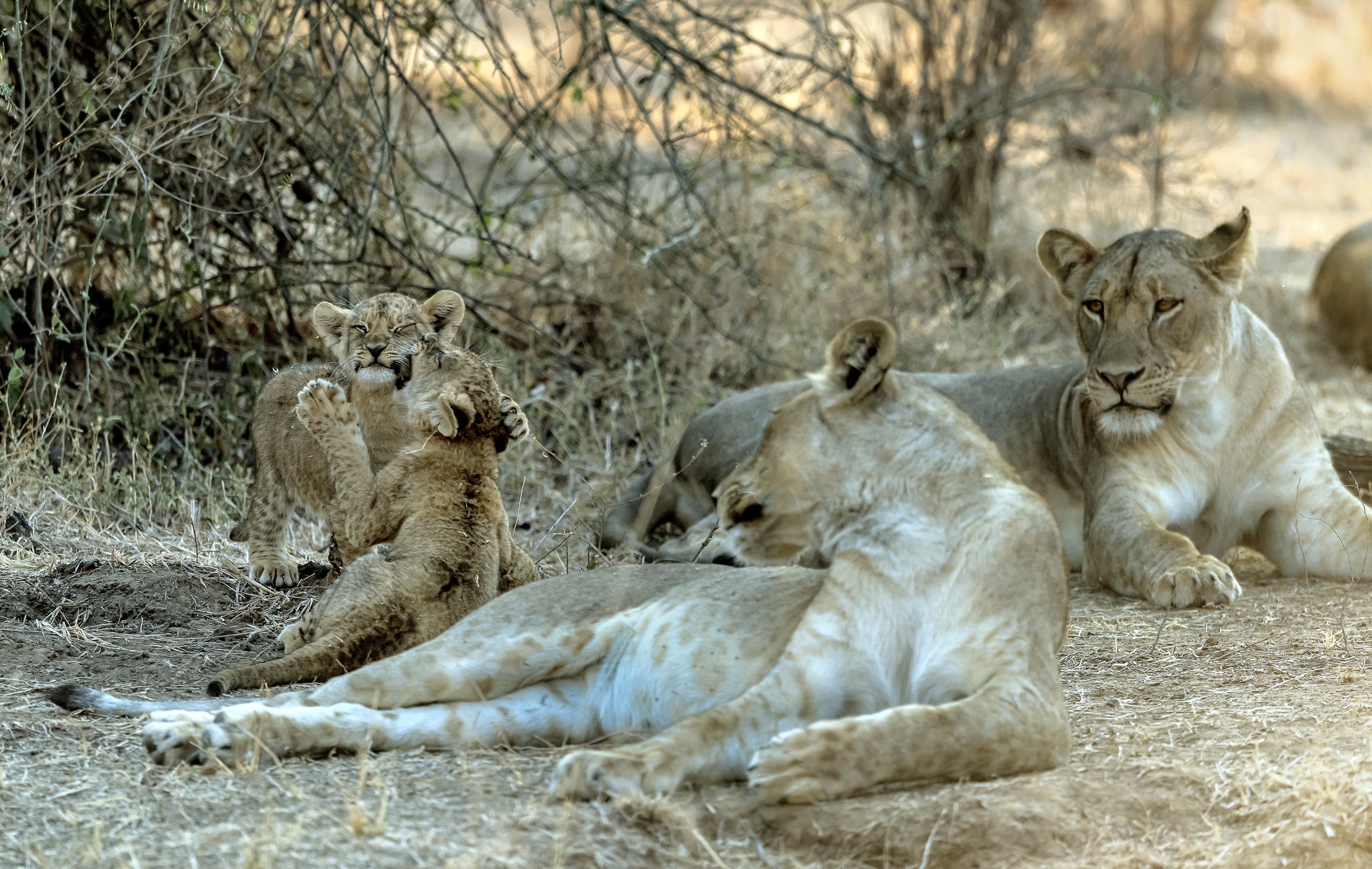 Zambia 2015 - Family games...