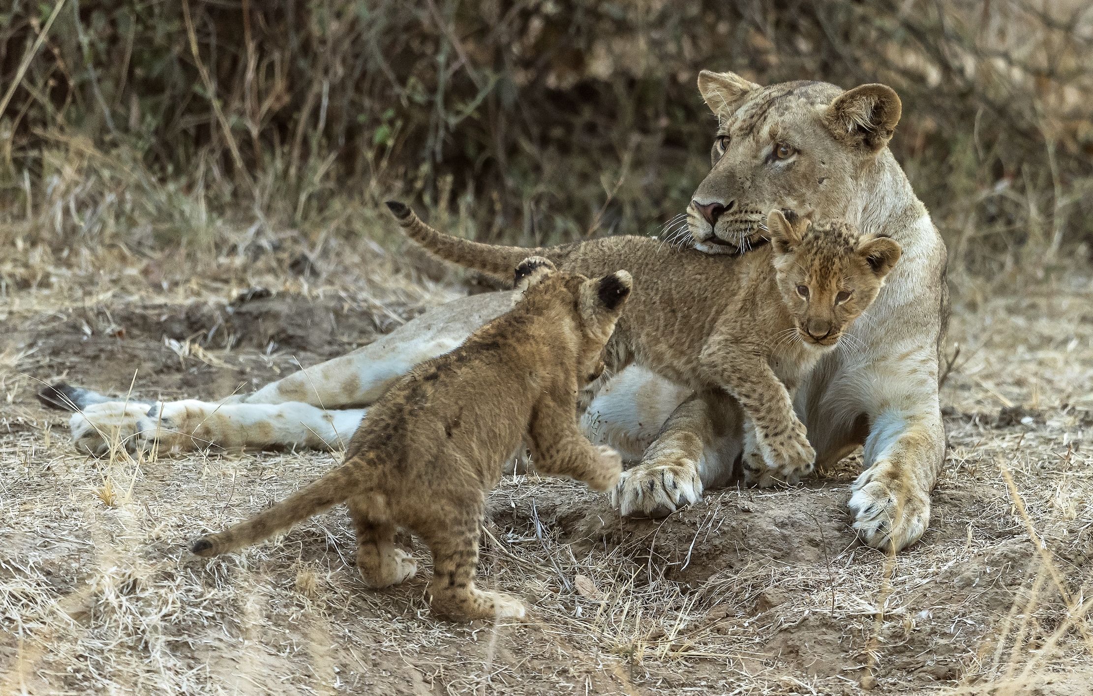 Zambia 2015 - Family games...