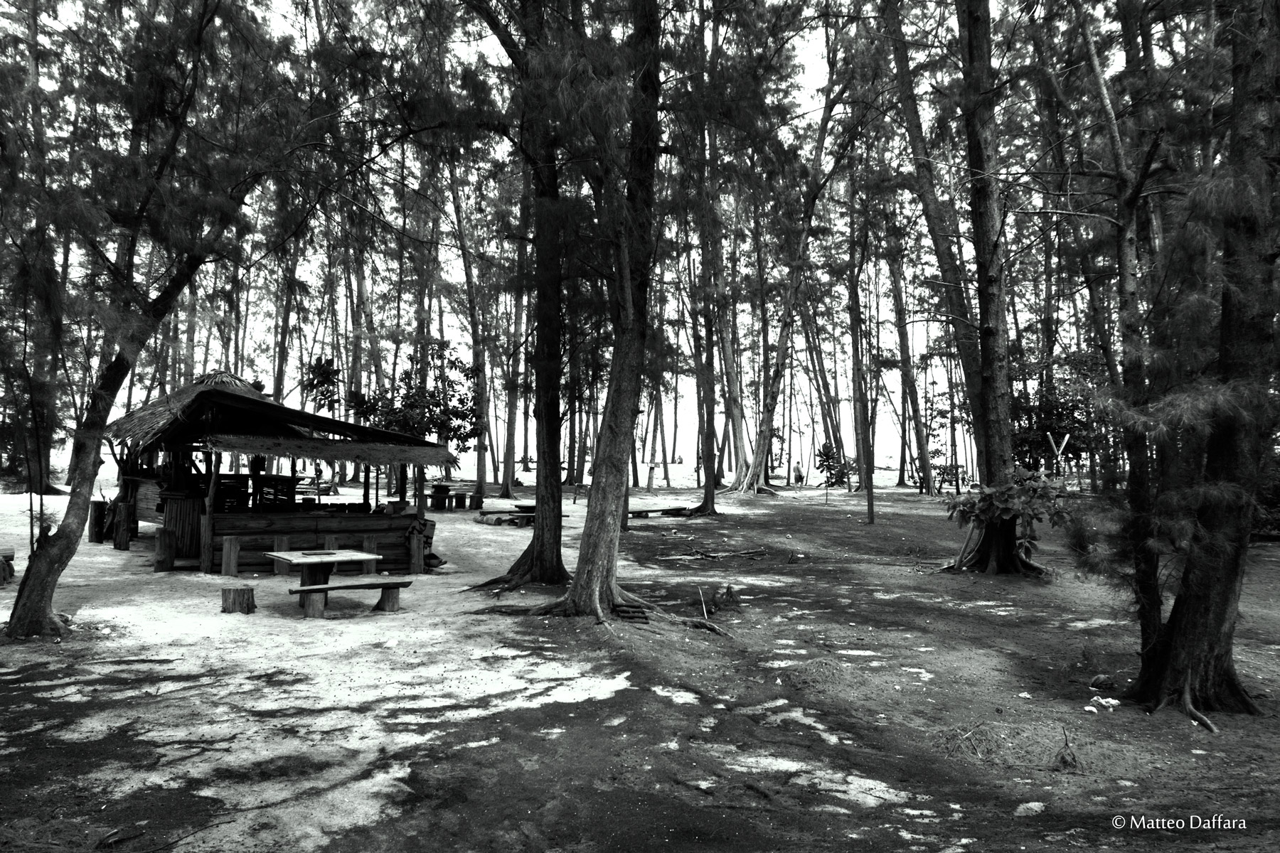 Bamboo Island...