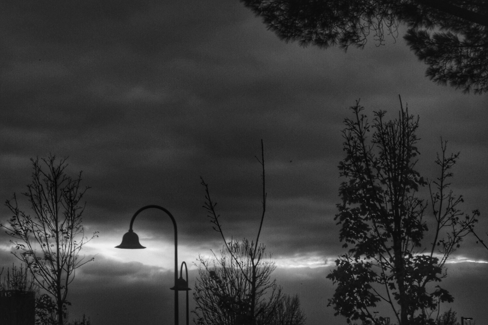 B & W...
