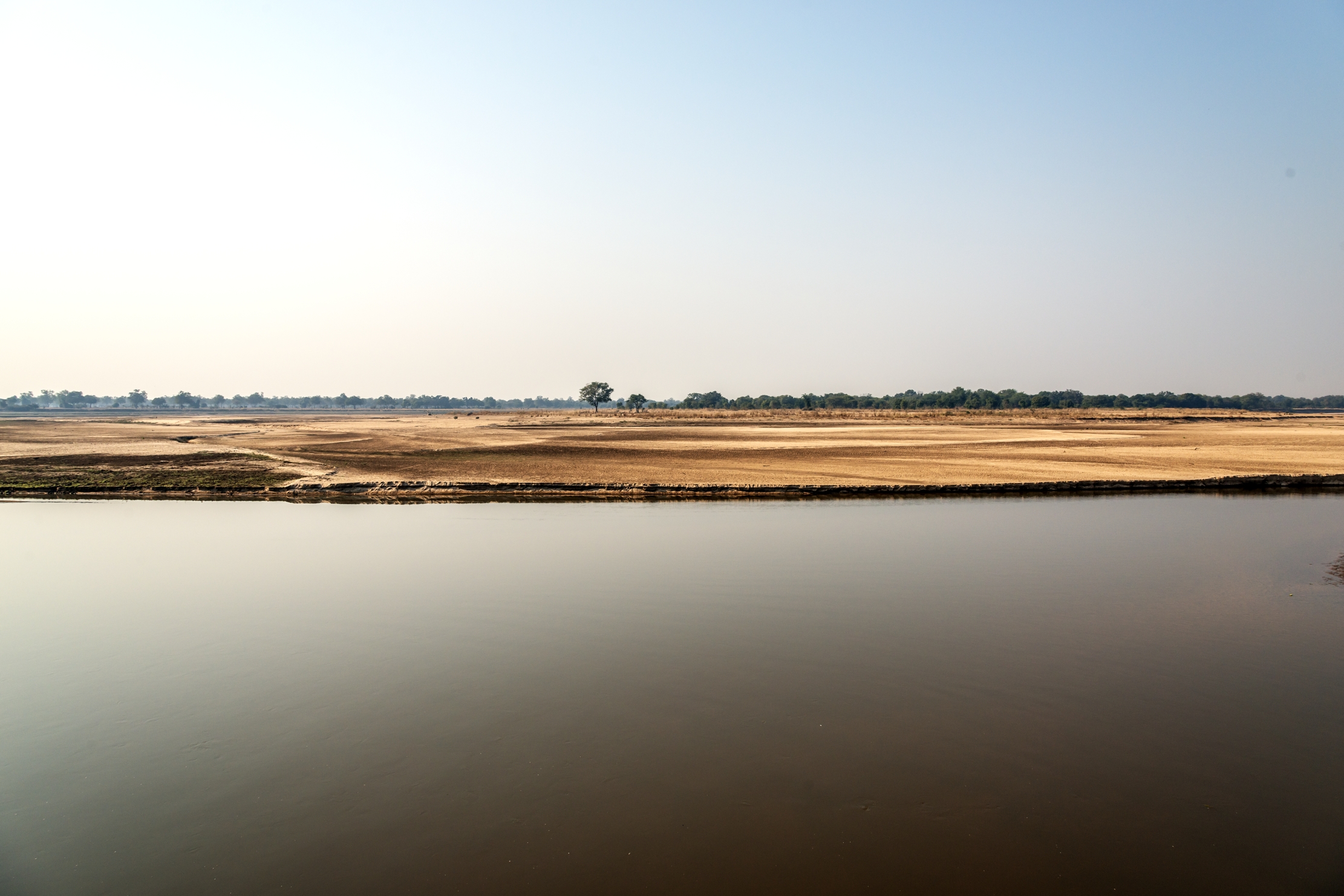Zambia 2015 - Luangwa...