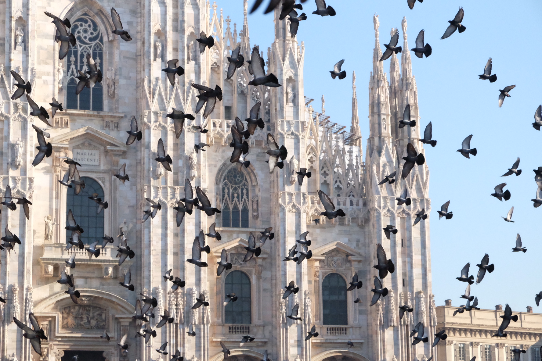Milano, Duomo...