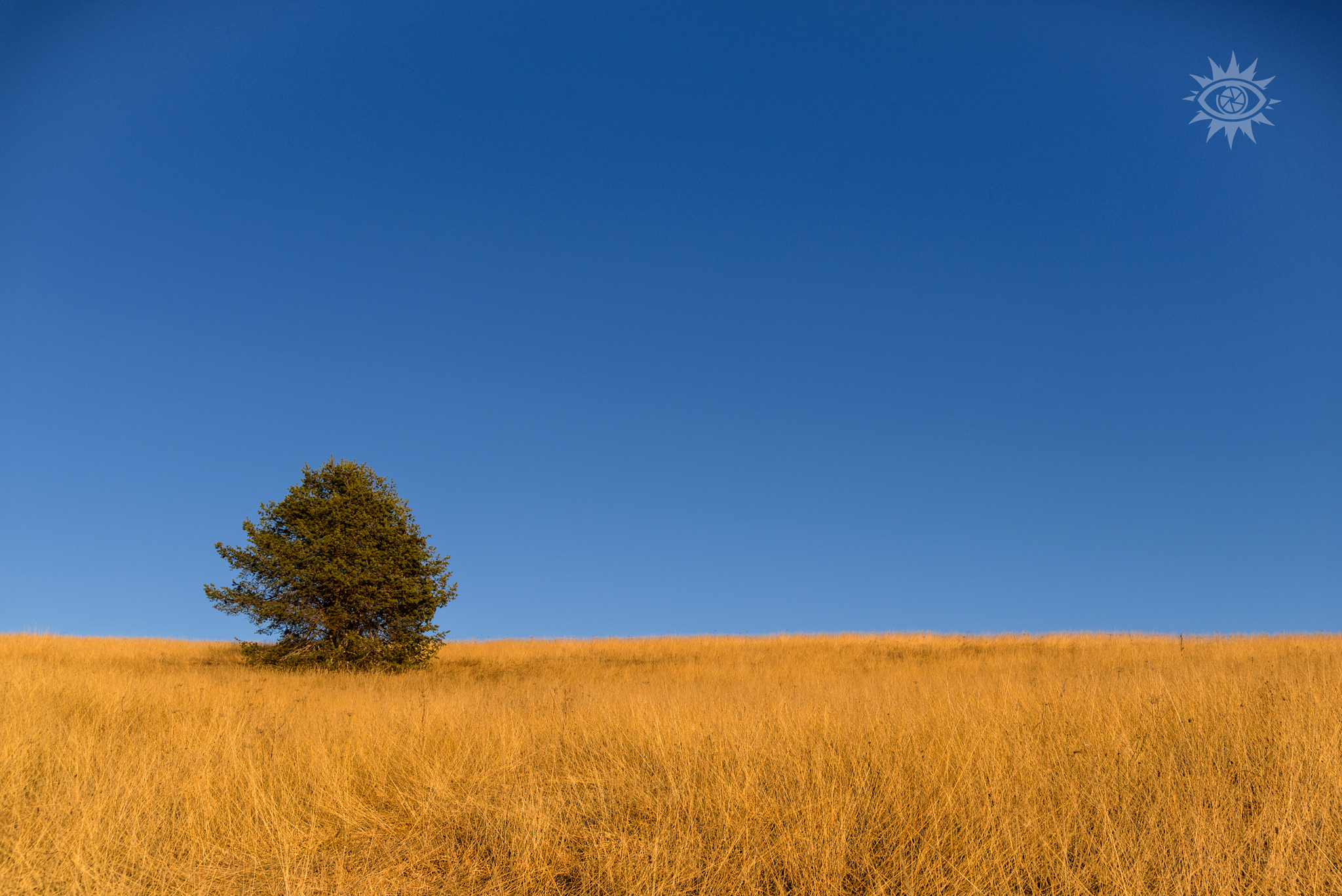 Minimal T-h-ree...
