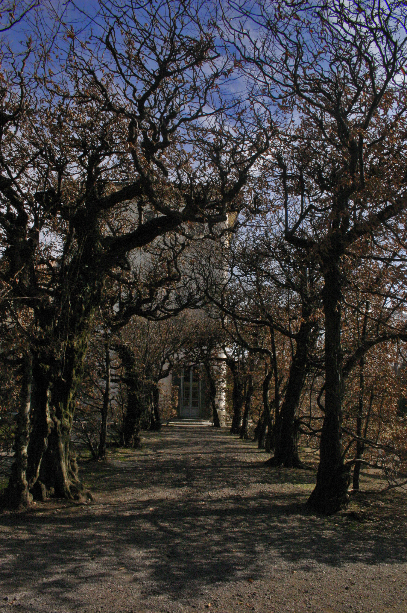 Scorcio Villa Panza (va)...