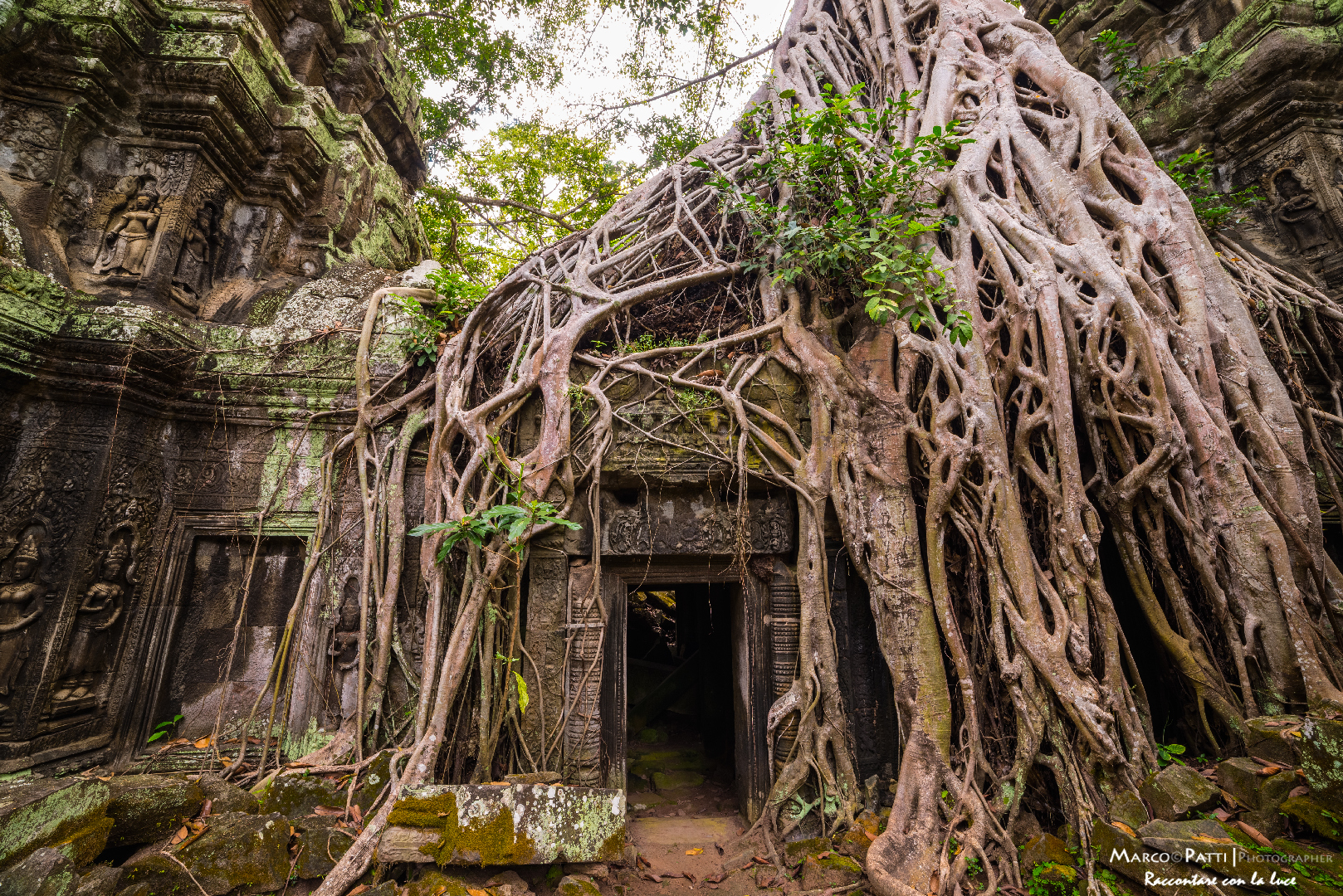 Ta phrom, when nature and man come together...