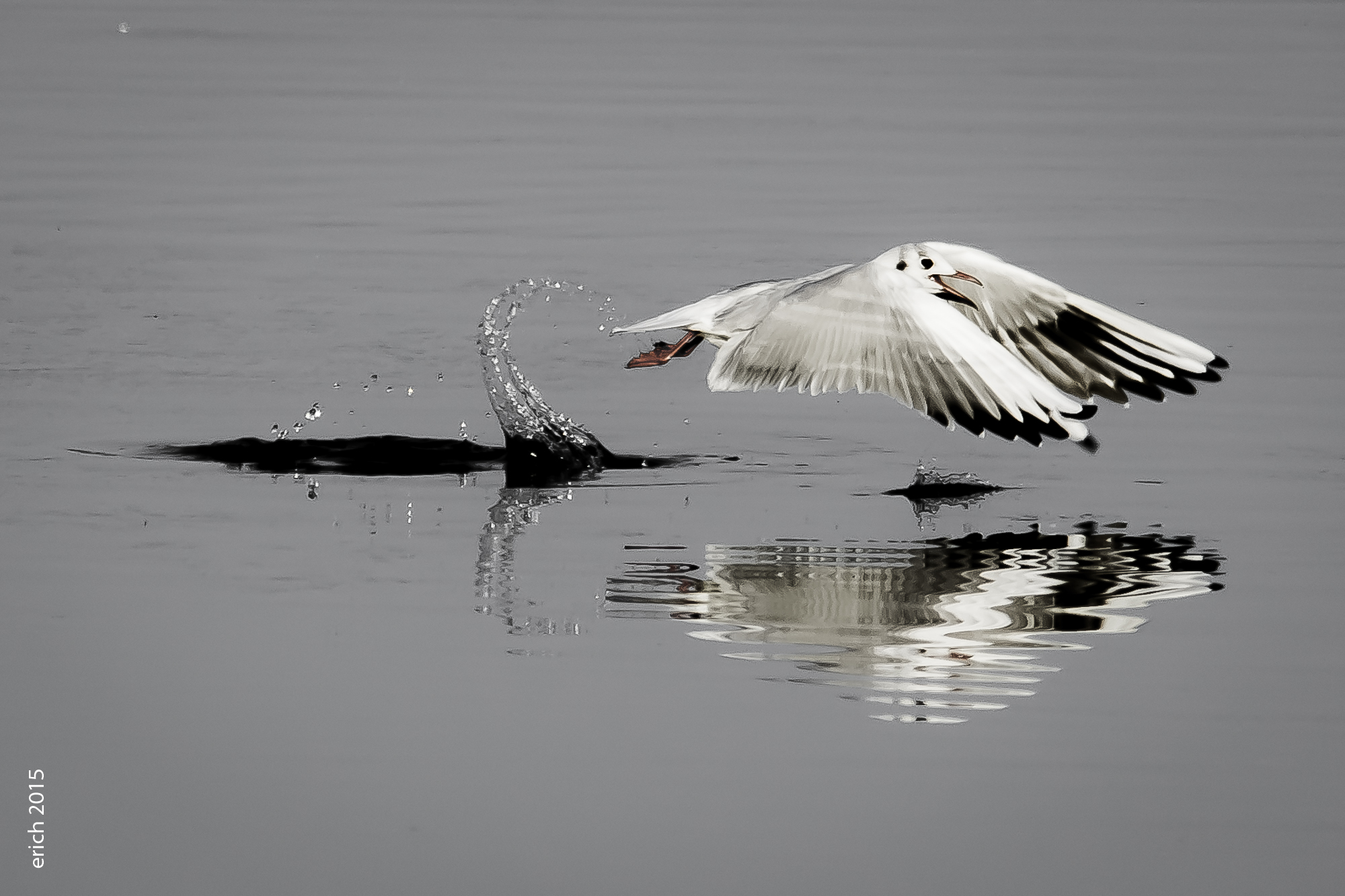 in flight...