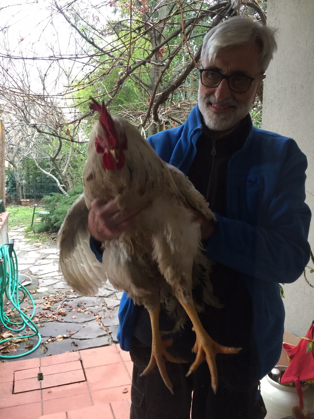 Selfie with Big Luciano, the rooster...