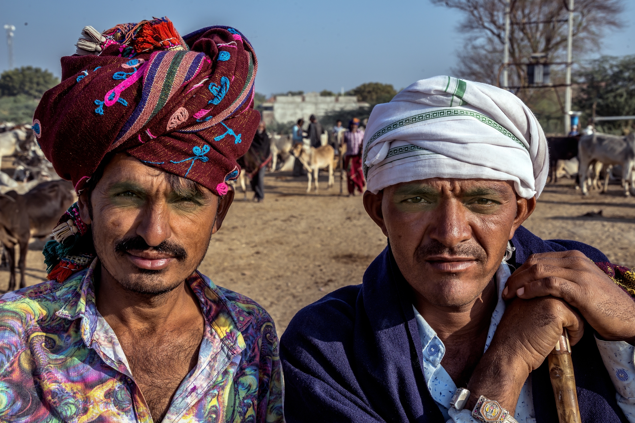 Gujarat 2015 - nomadic shepherds...