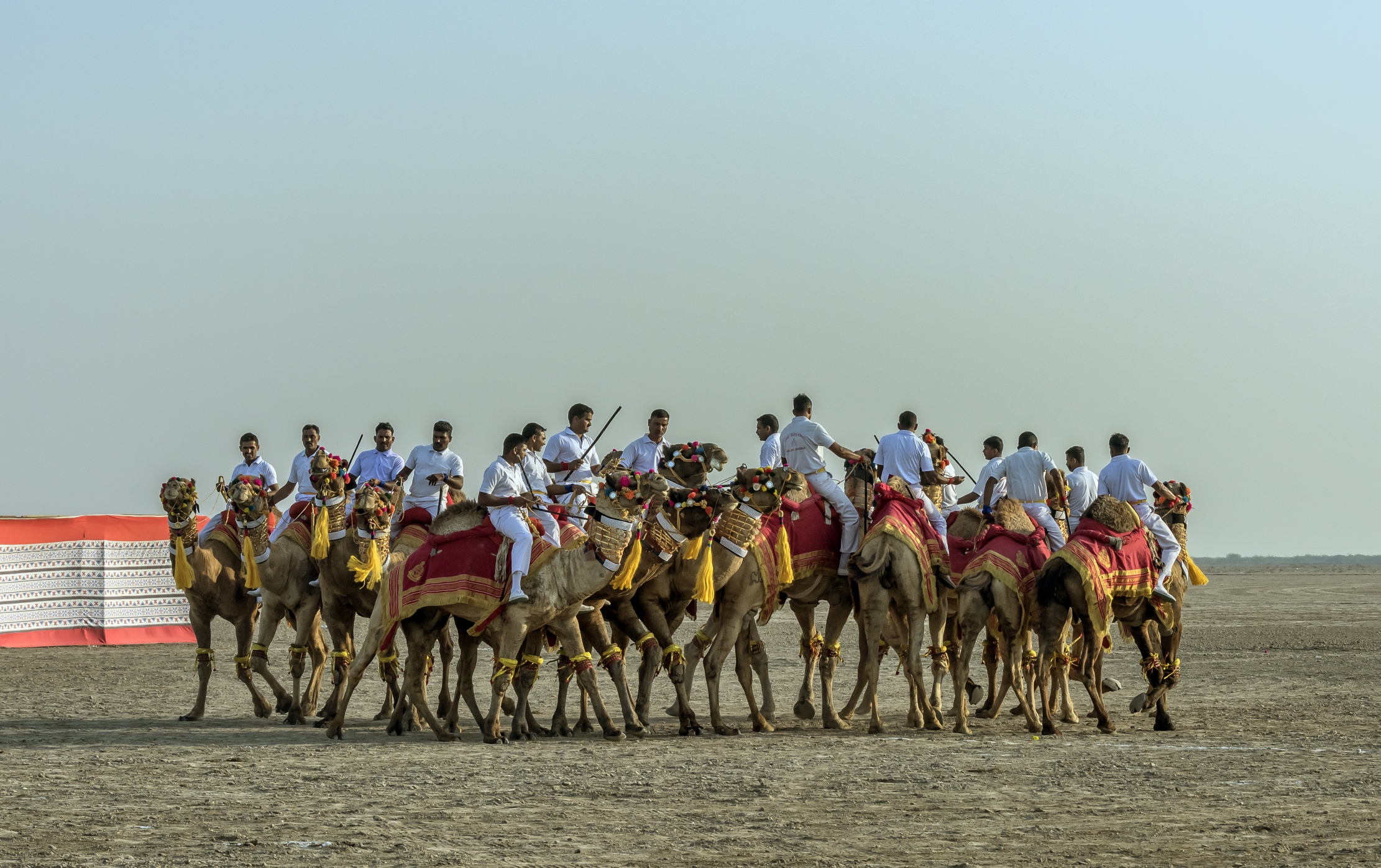 Gujarat 2015 - Exhibition in the desert...