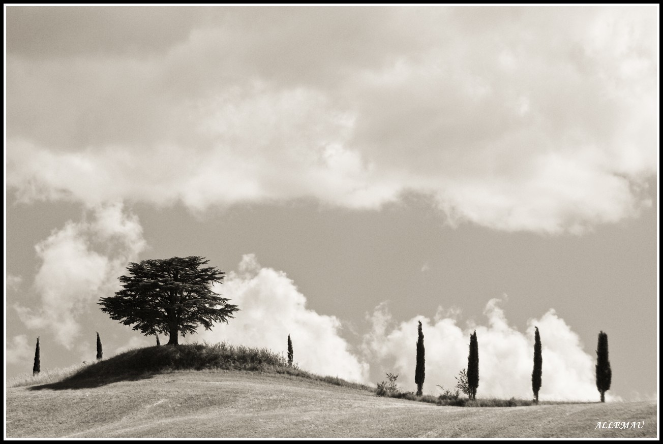 Silhouette of Tuscany...