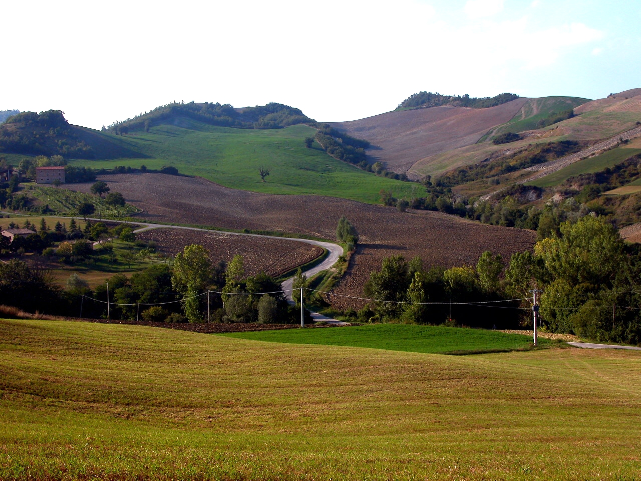 Colors in the hills of the Marche...