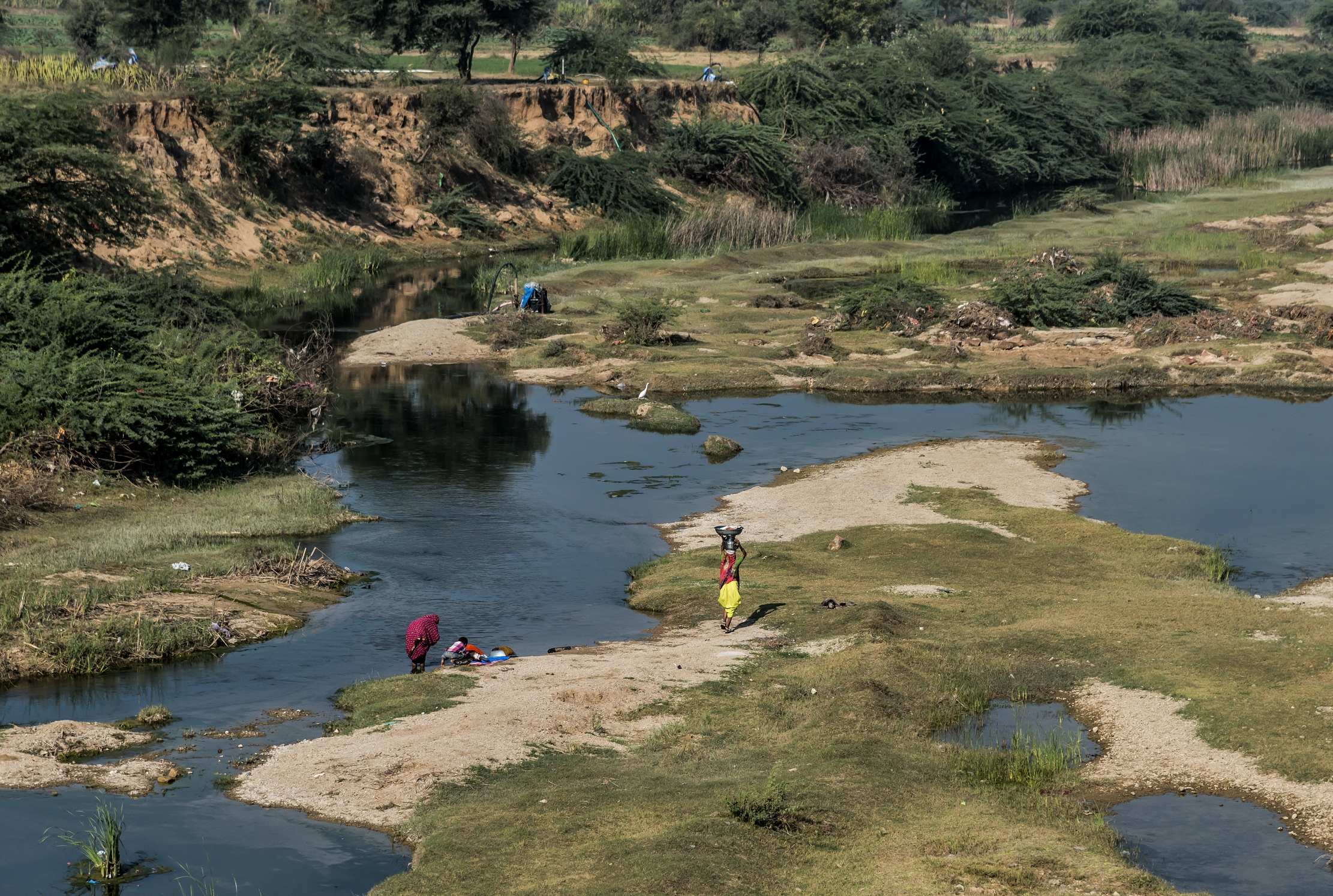 Gujarat 2015 - In a river...