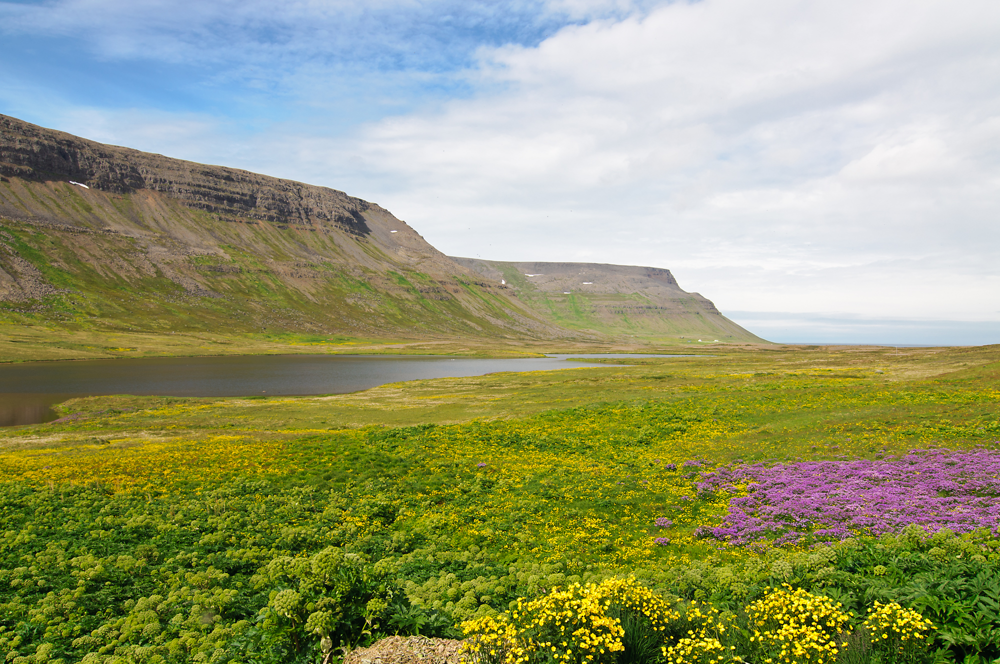 Westfjords...