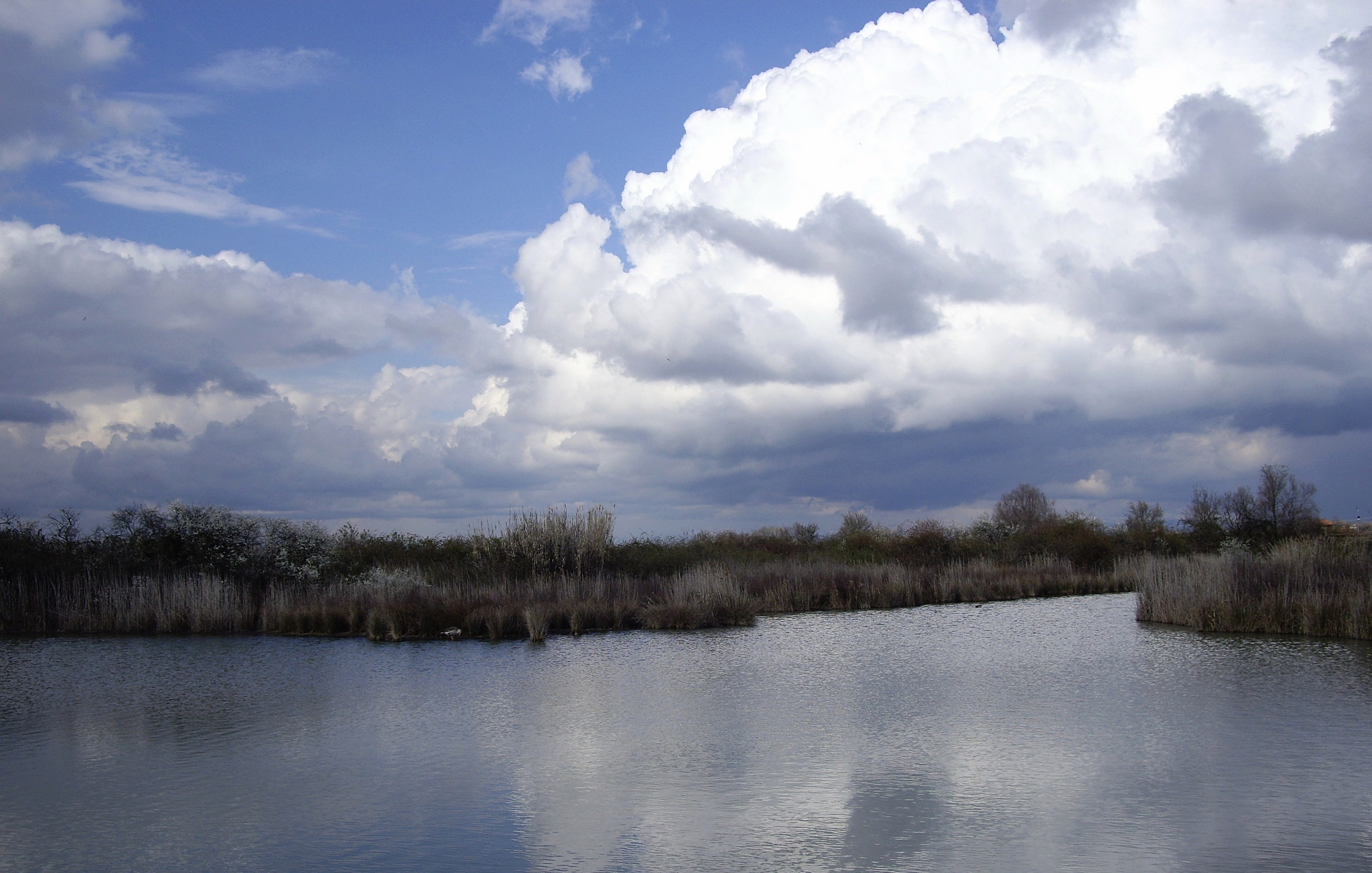 Marano Lagoon (Udine)...