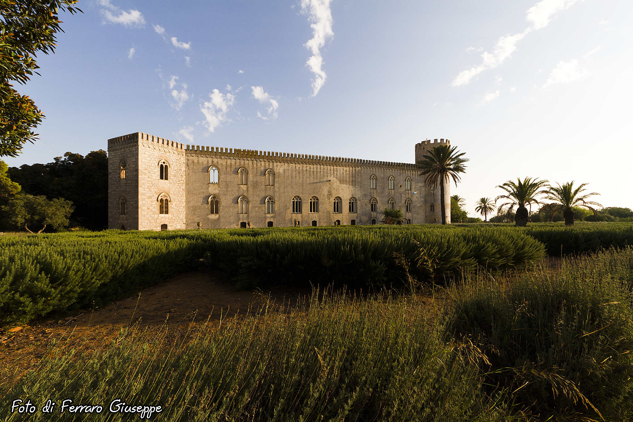 Castello di Donnafugata (rg)...