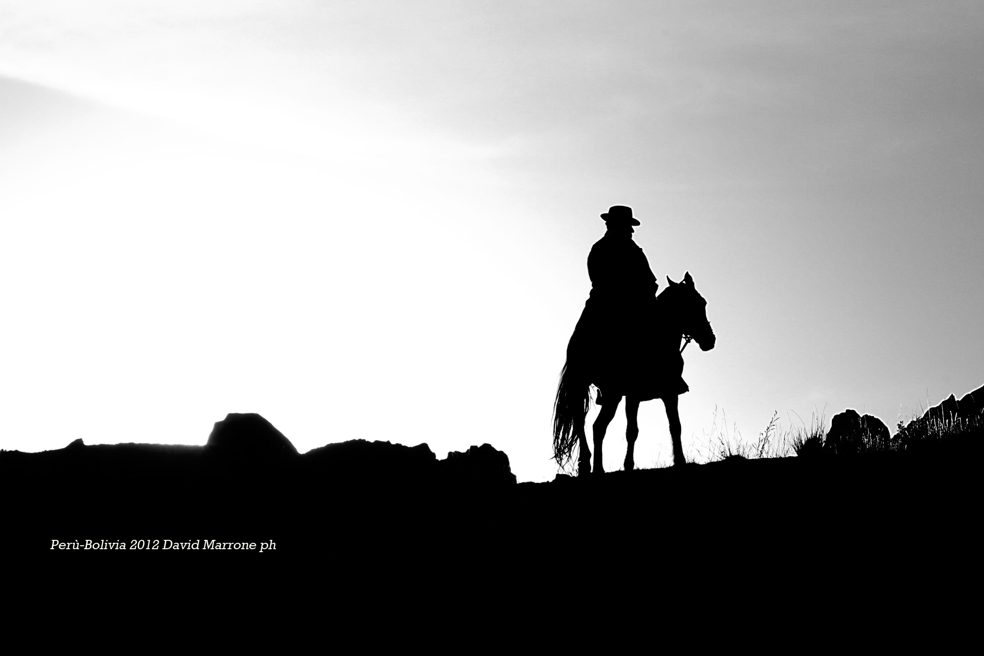 Untitled Photo...