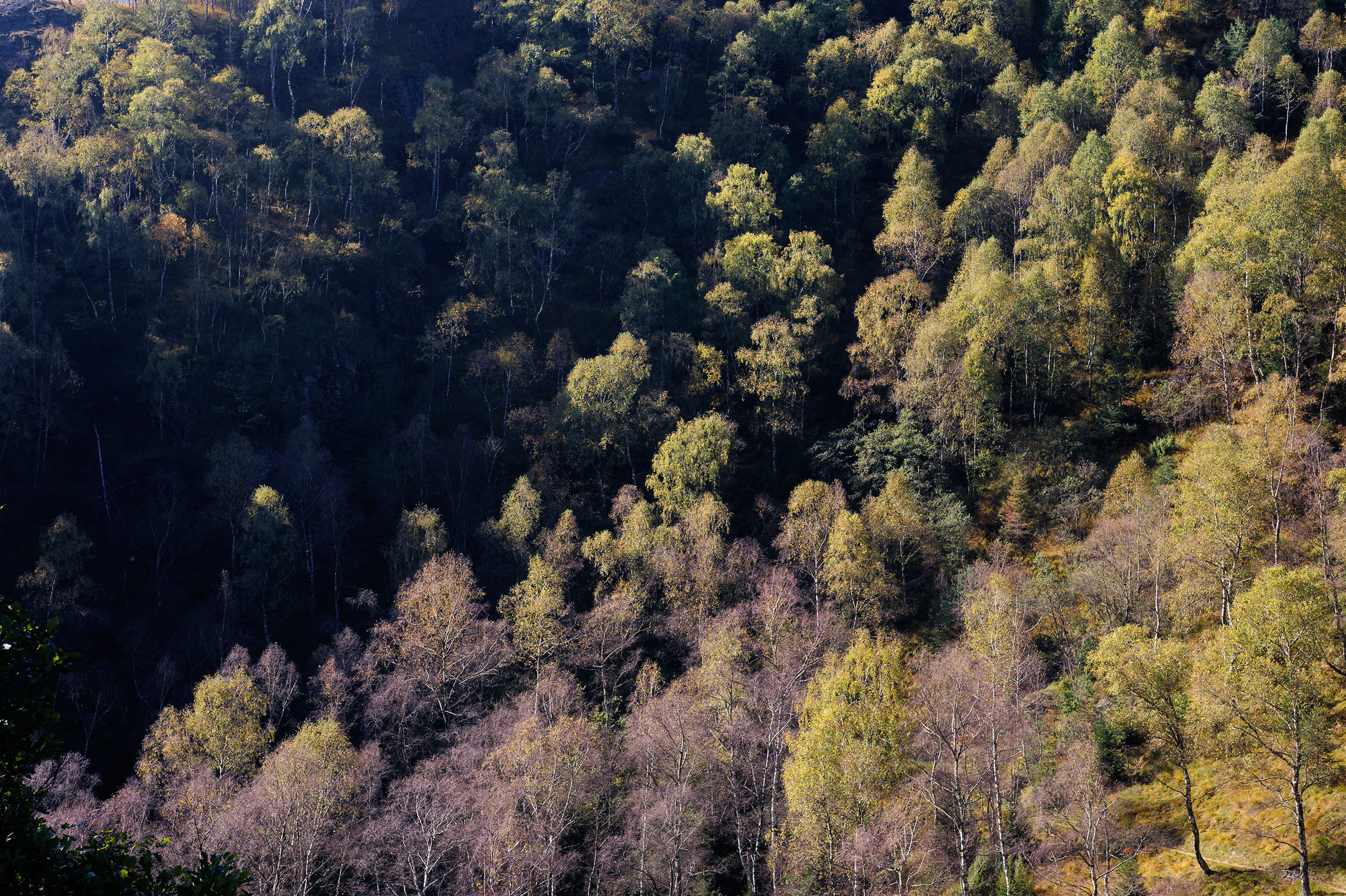 Autunno in Val Vigezzo...