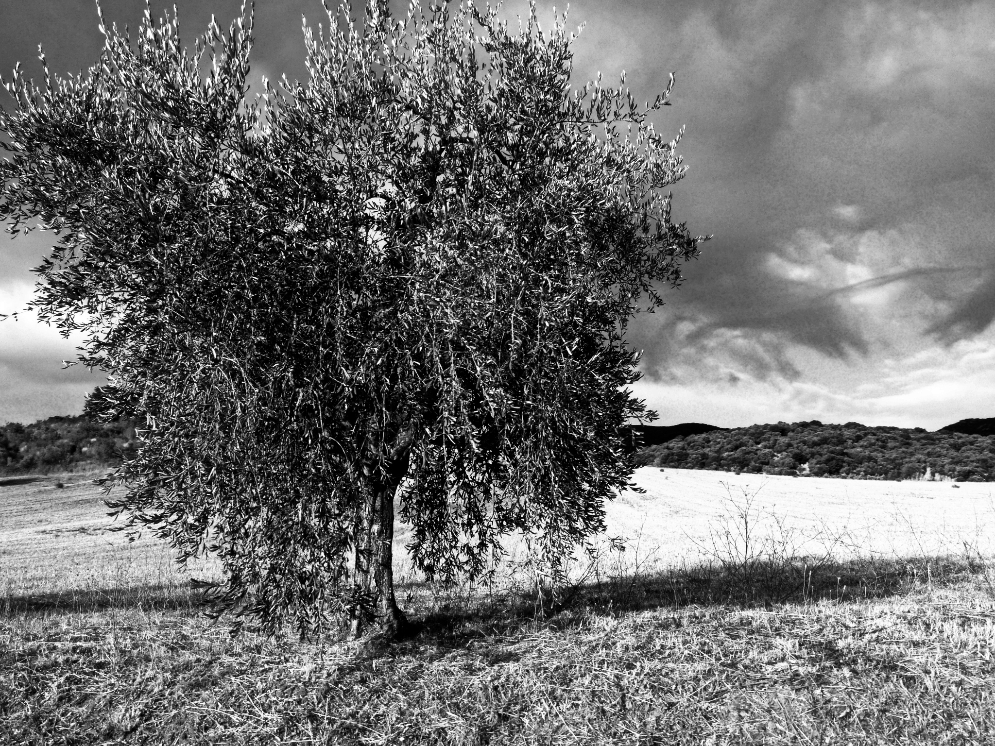 Untitled Photo...