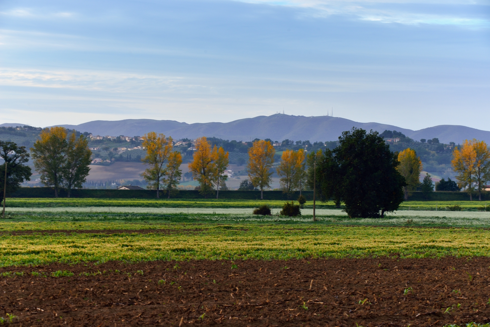 Landscape of November in Umbria...