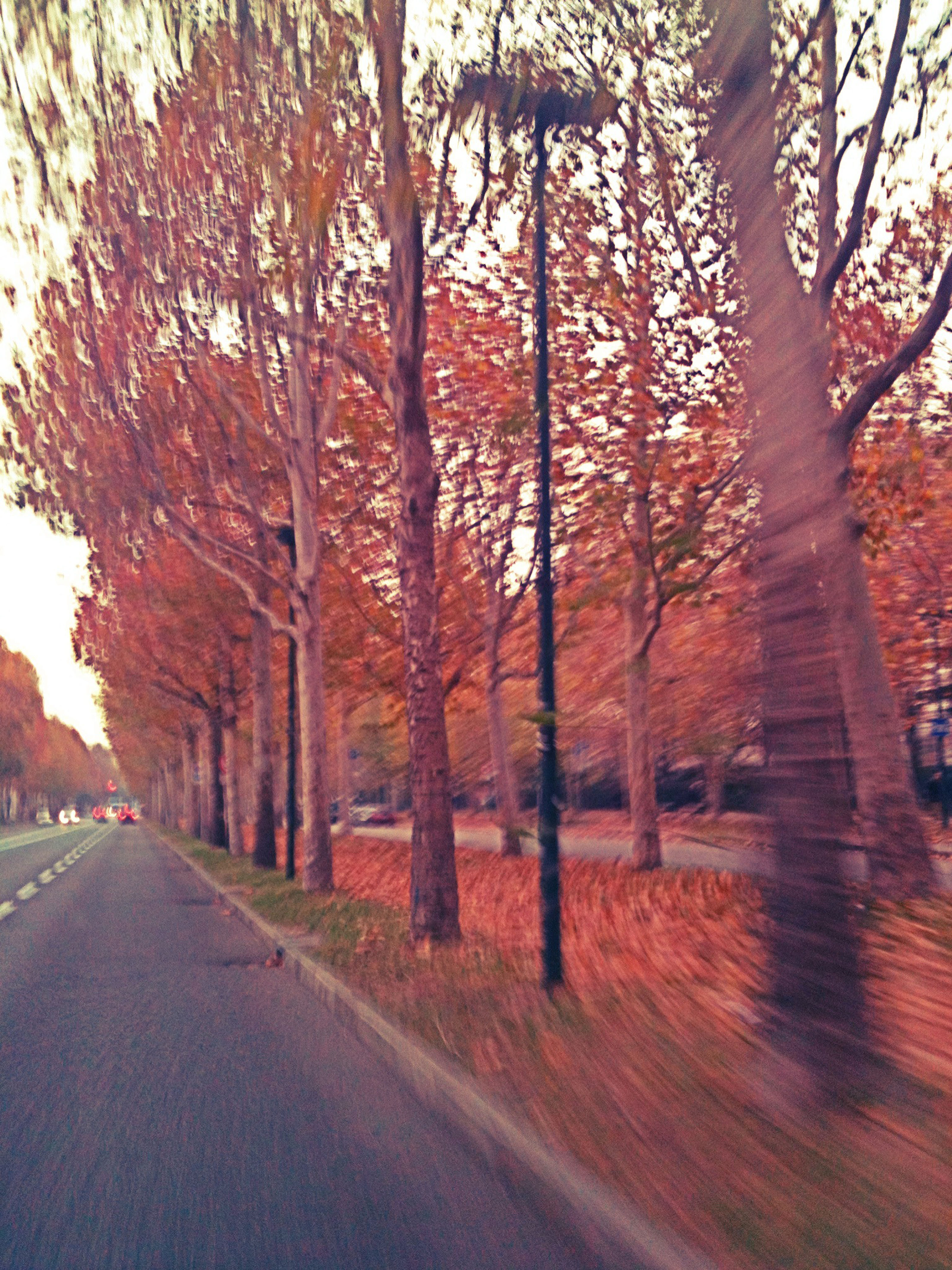 [LOADING...]