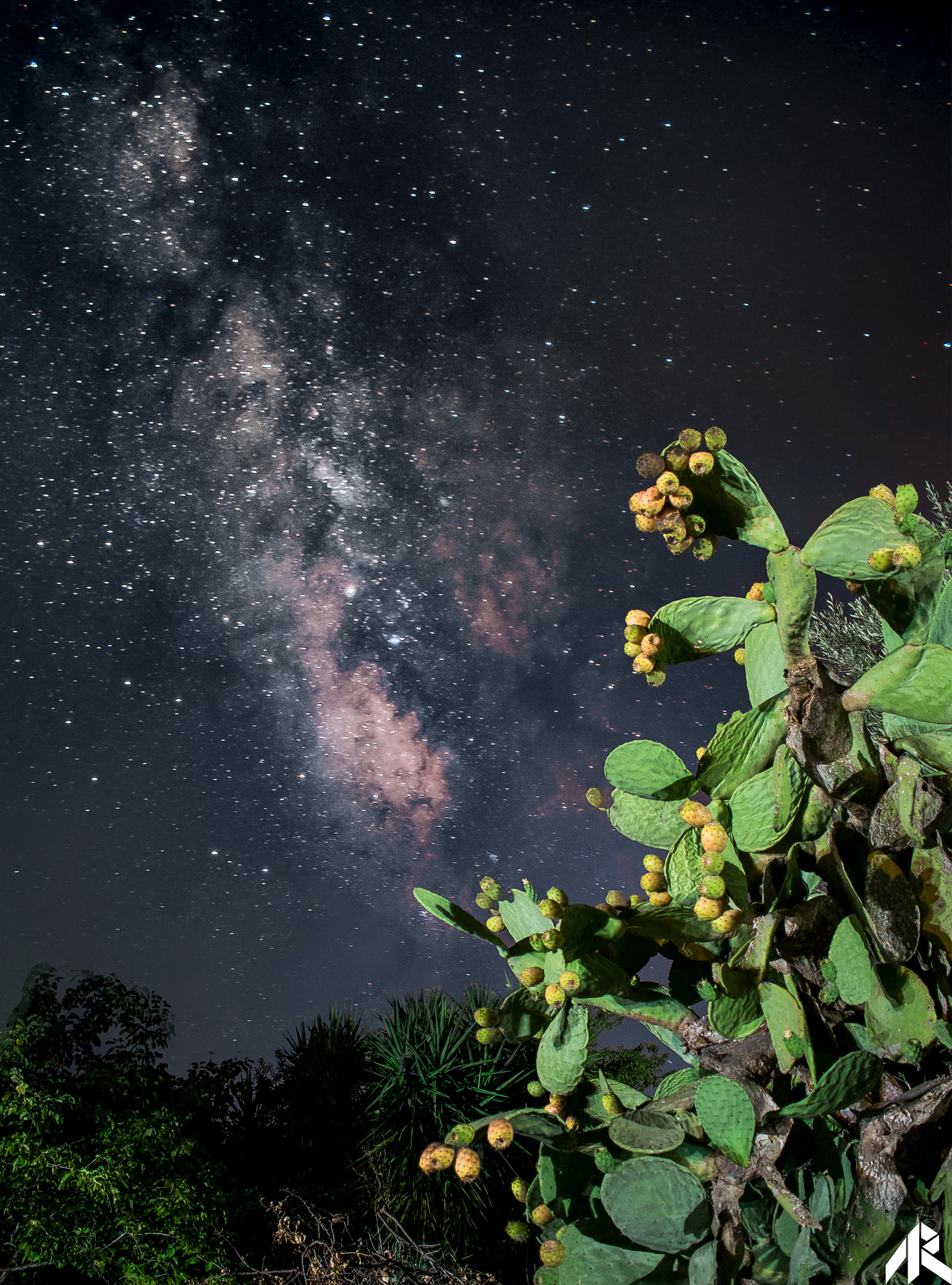 Milky way, Prickly Pear-known...