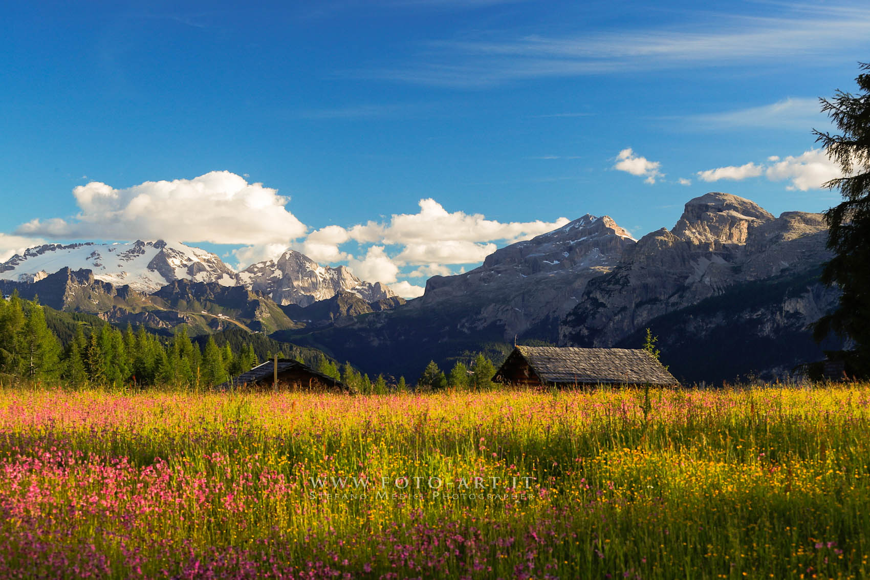 Armentara in primavera...
