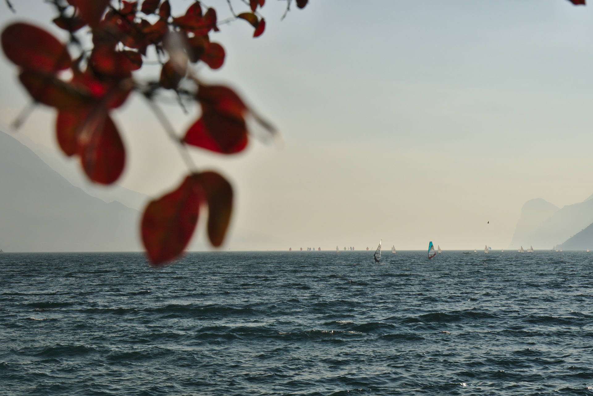 Autumn Sails...