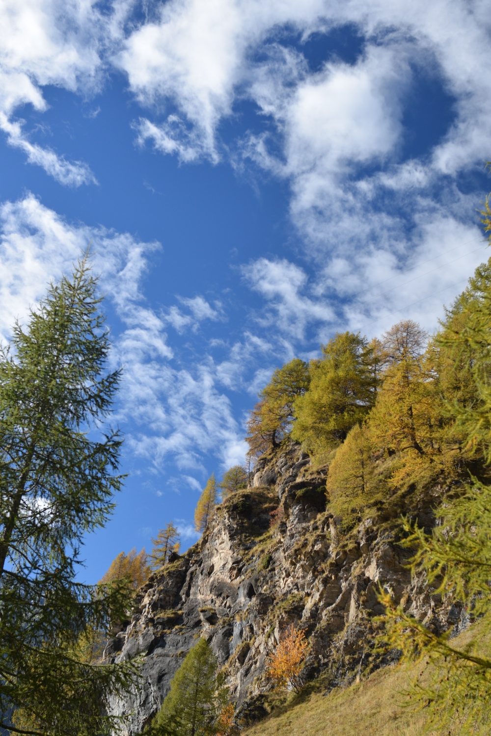 Autumn Skies...