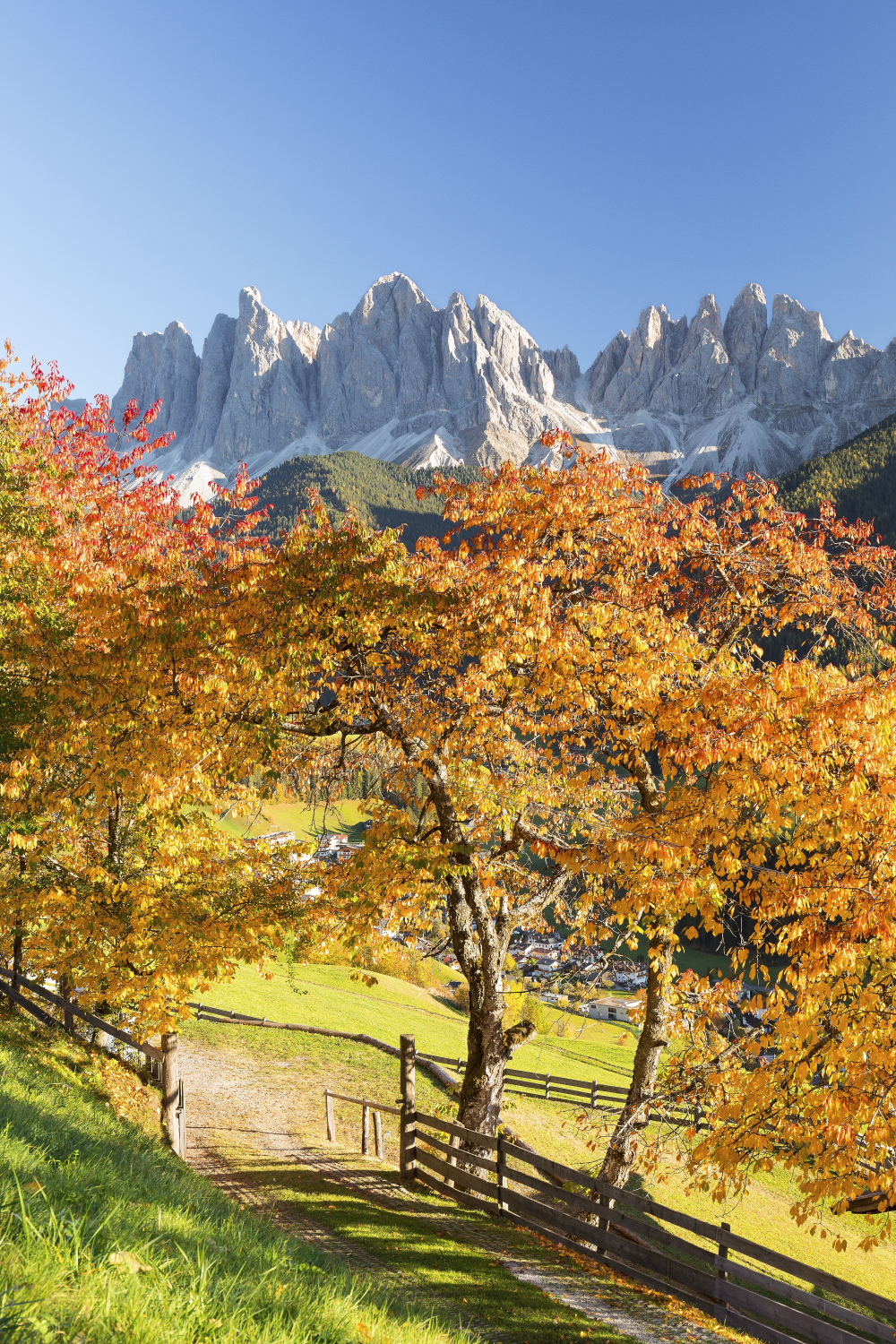 Autumn in Val di Funes...