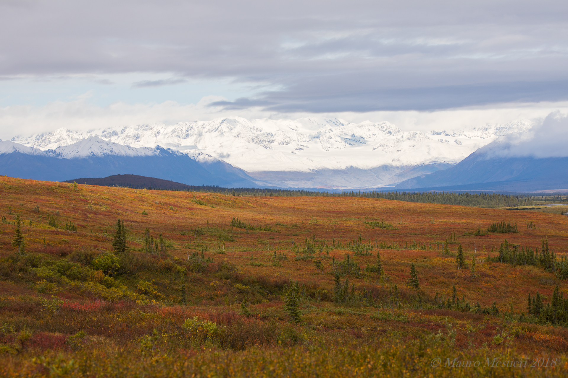 Landscape along Denali Highway (Alaska)...