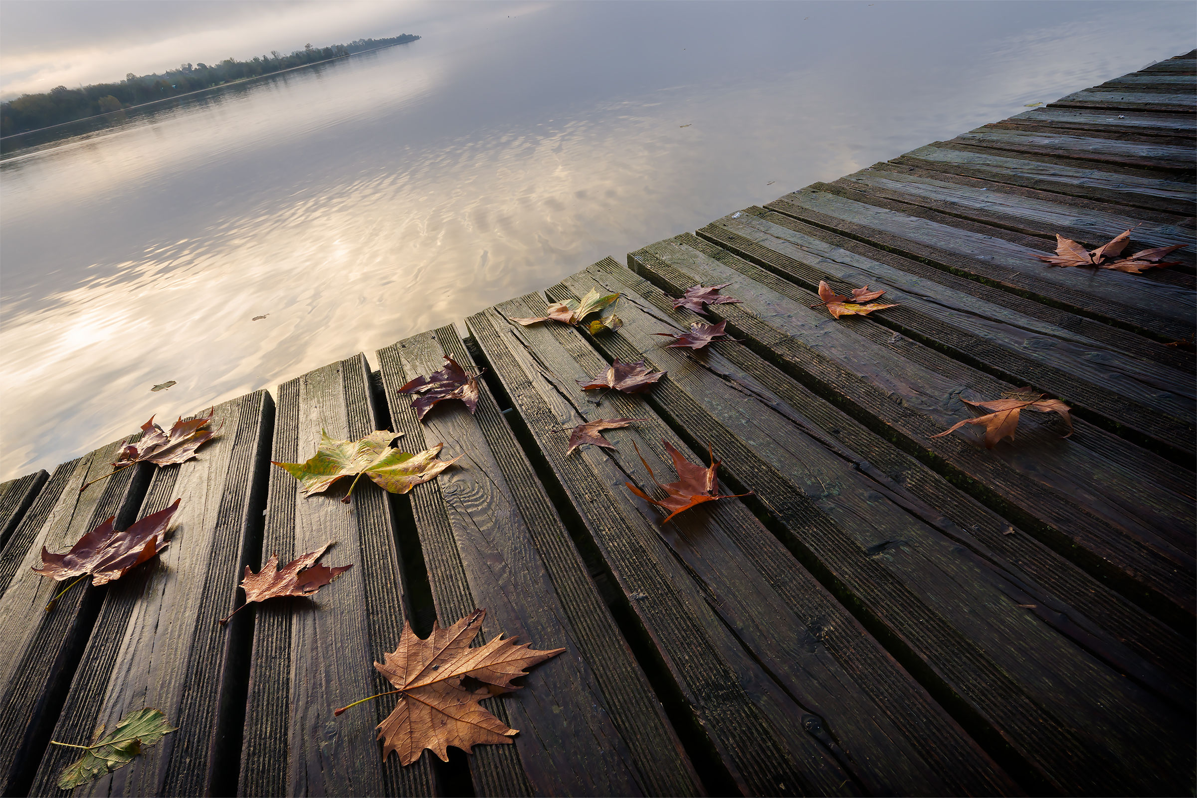 Autumn on the lake...