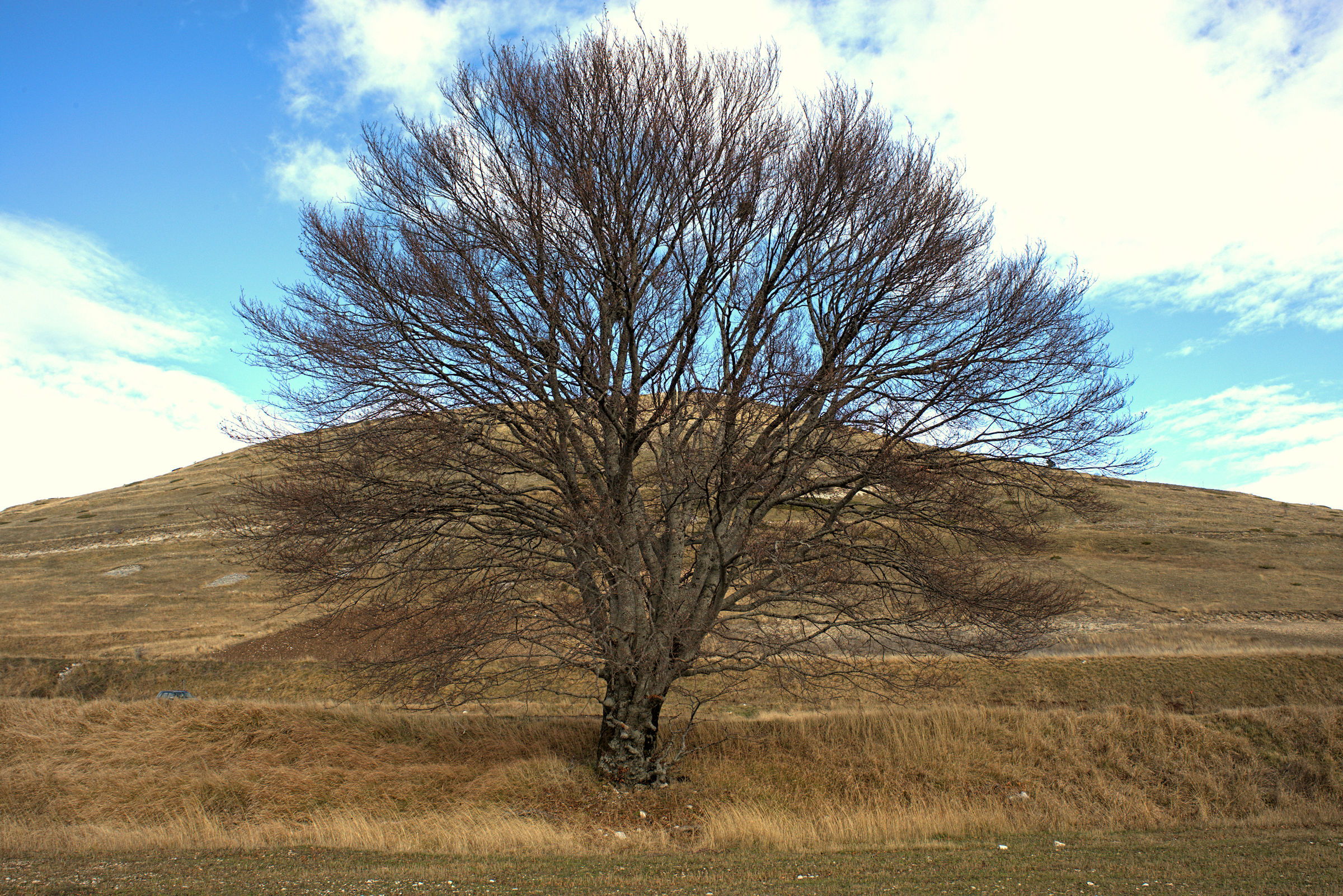 Castelluccio di Norcia...