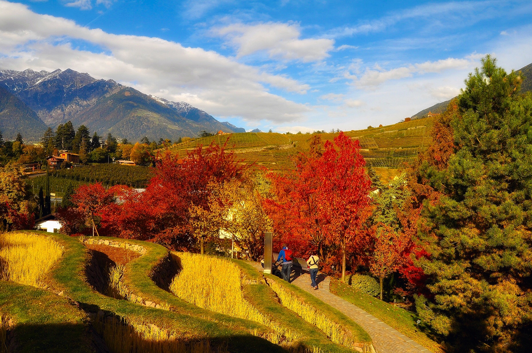 Autumn Landscape in Merano...