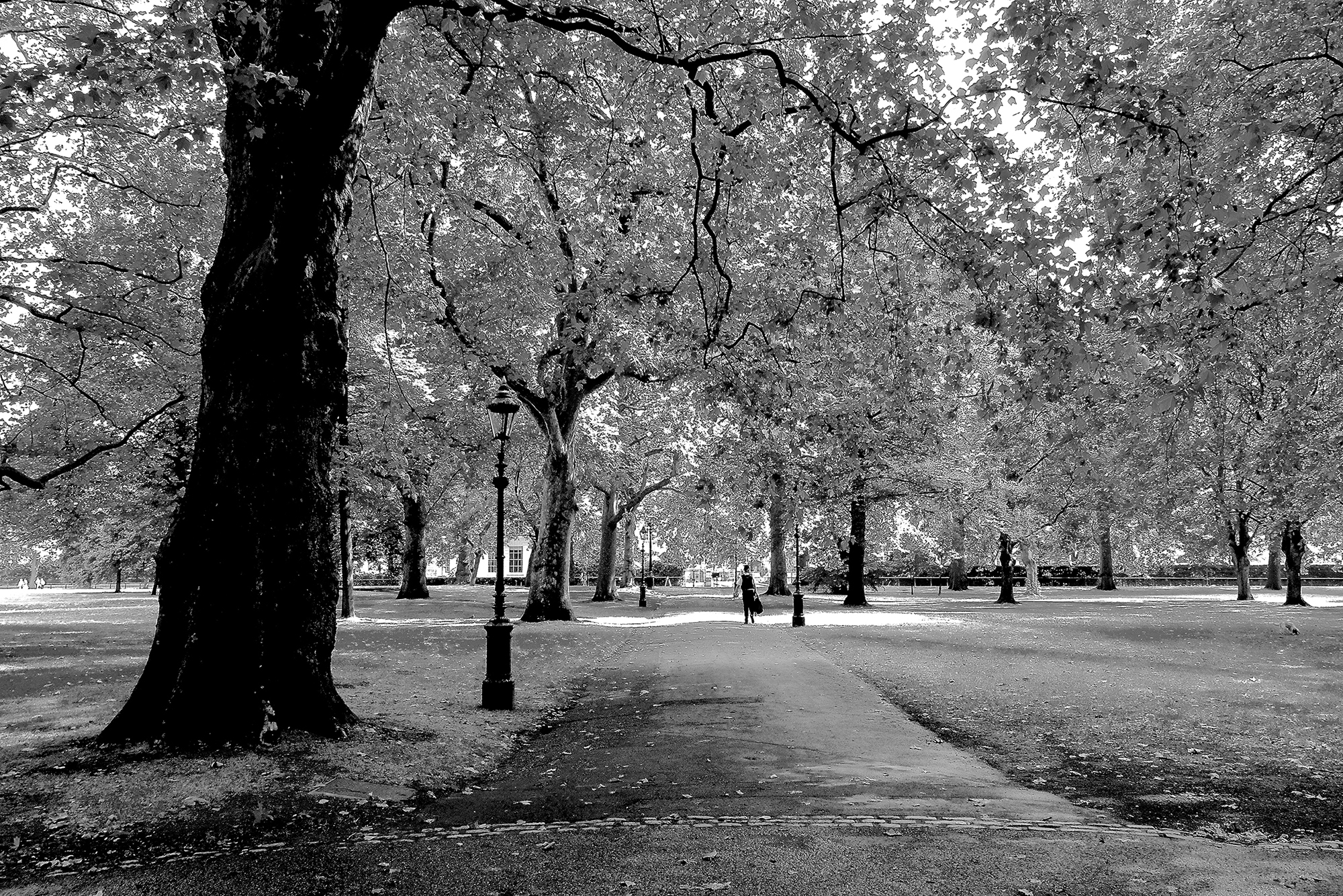 London Park...